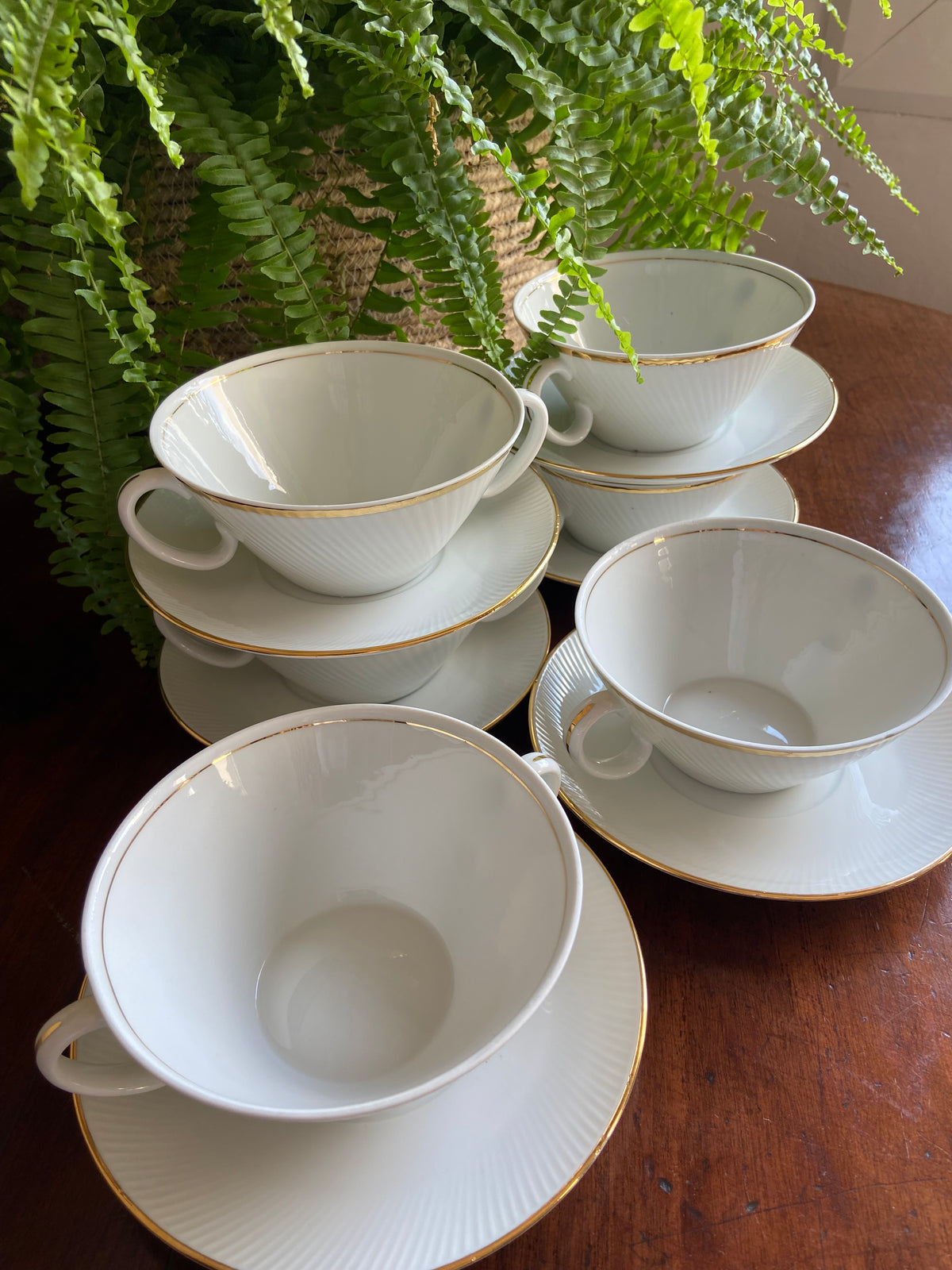 6 tazas consomé porcelana "Santa Clara".