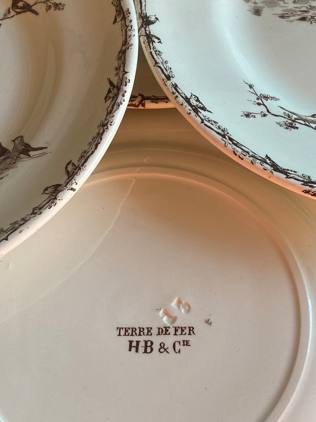 8 platos llanos en loza francesa "Terre de Fer" H&B & Cie