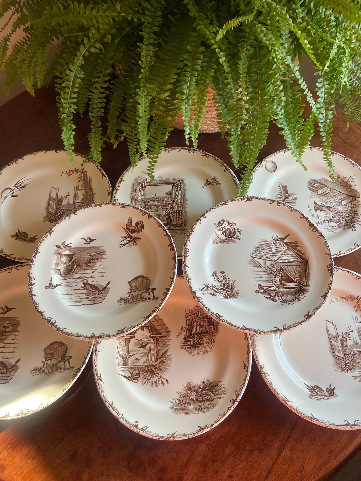 8 platos llanos en loza francesa "Terre de Fer" H&B & Cie