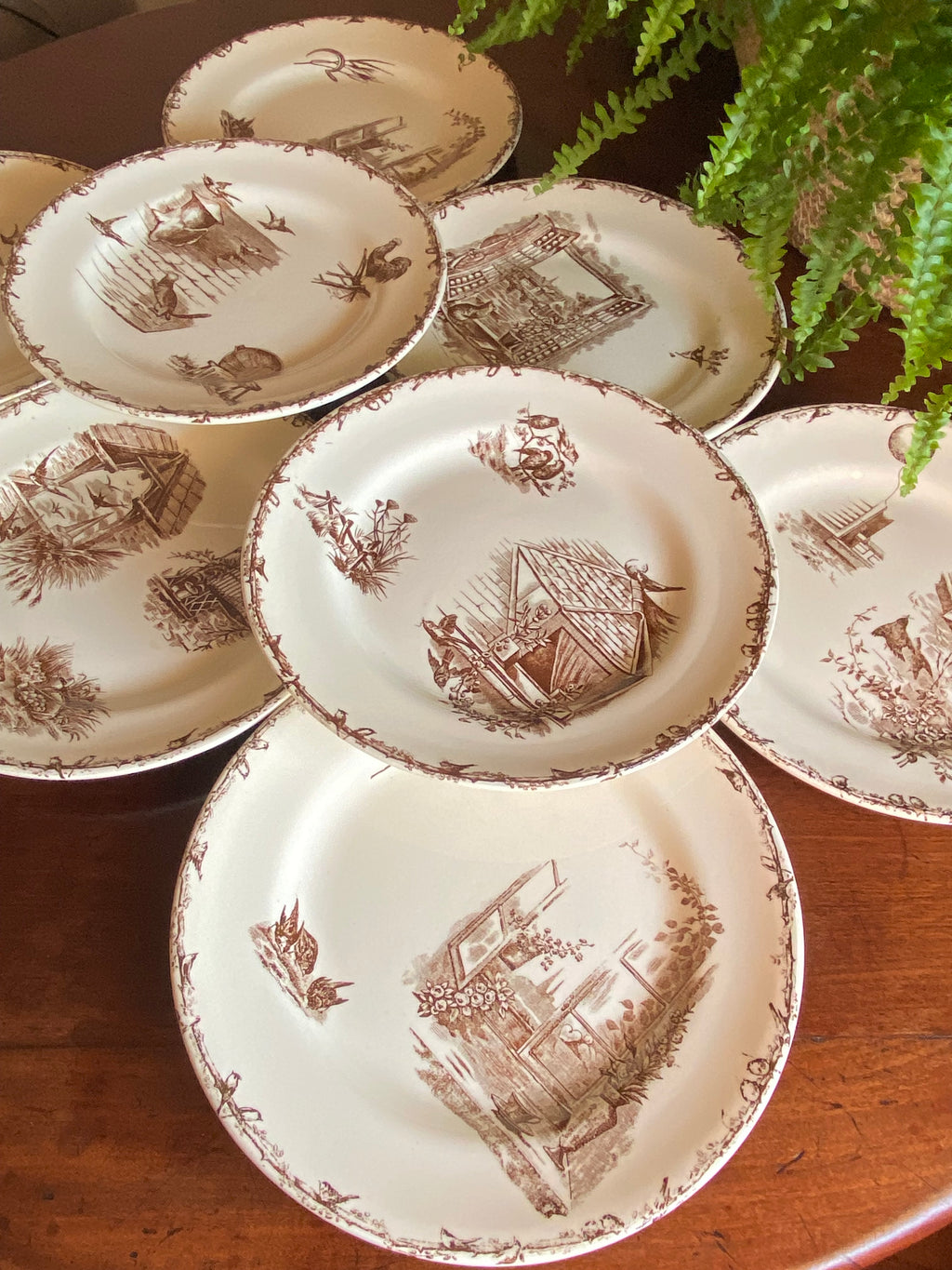 8 platos llanos en loza francesa "Terre de Fer" H&B & Cie