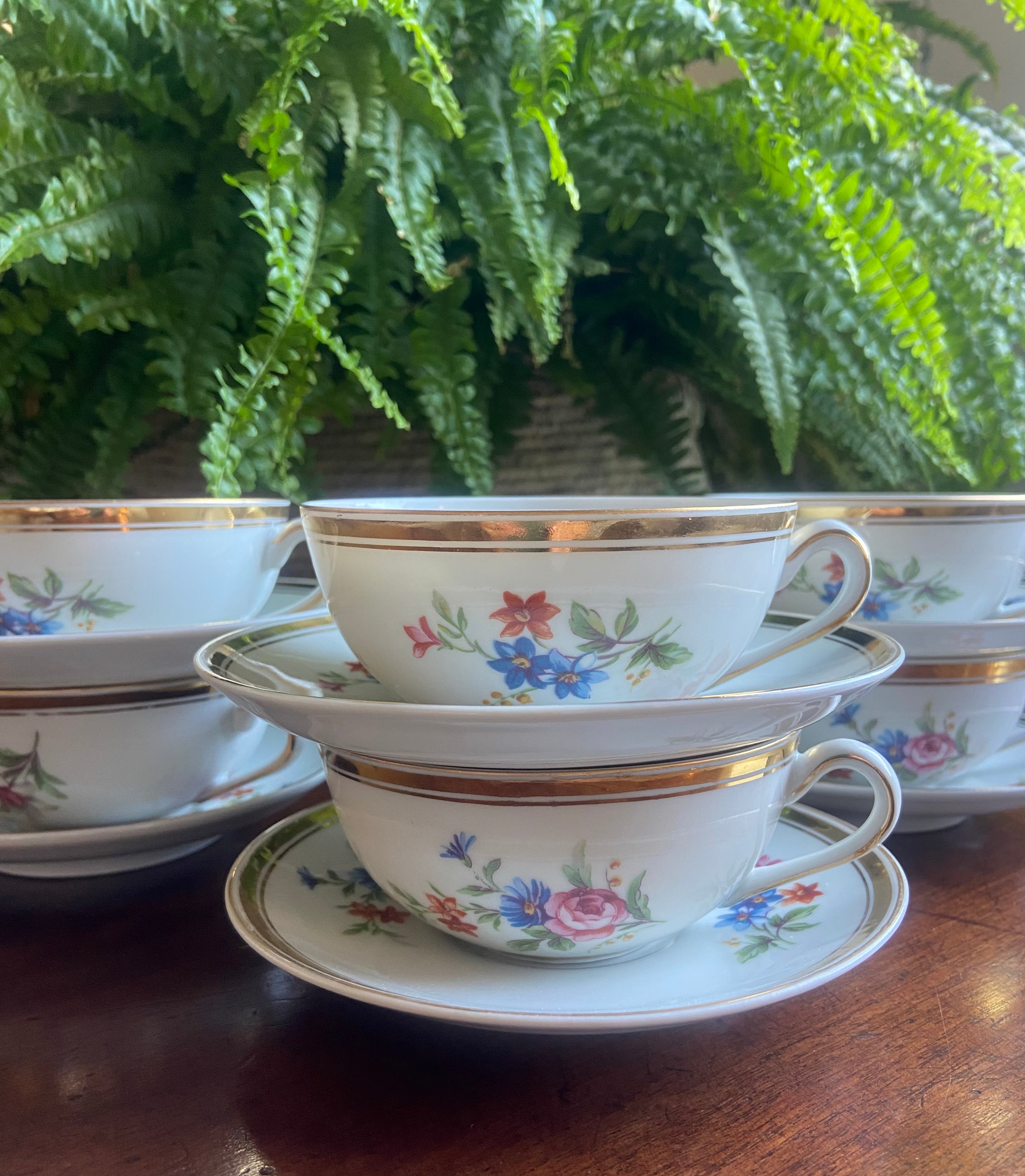 6 tazas de té con plato en porcelana "Bidasoa".