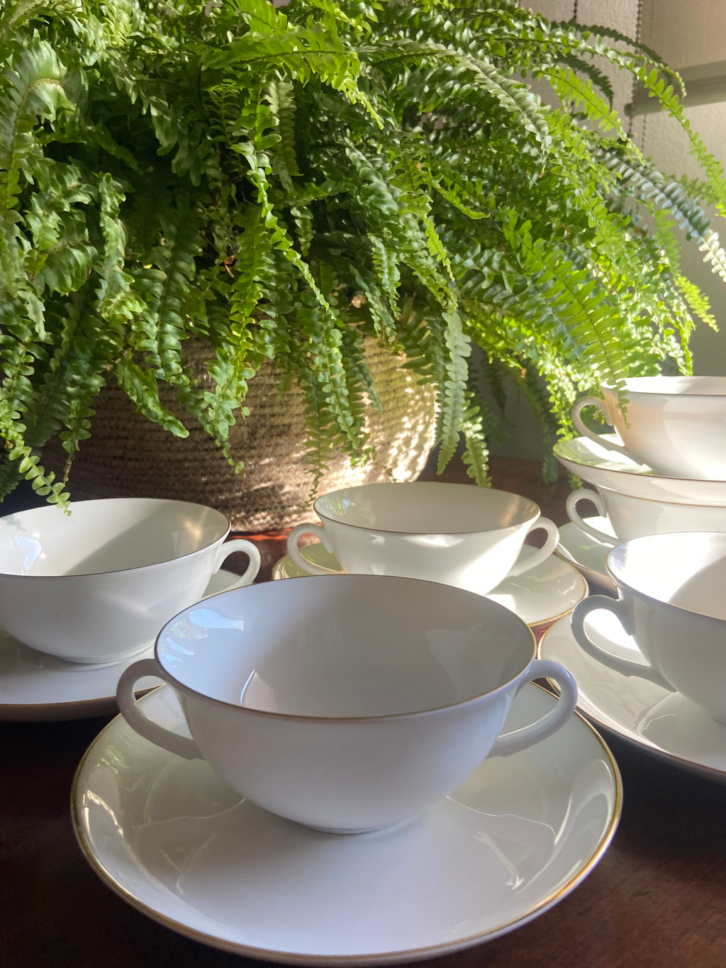 6 tazas consomé en porcelana "Bidasoa"