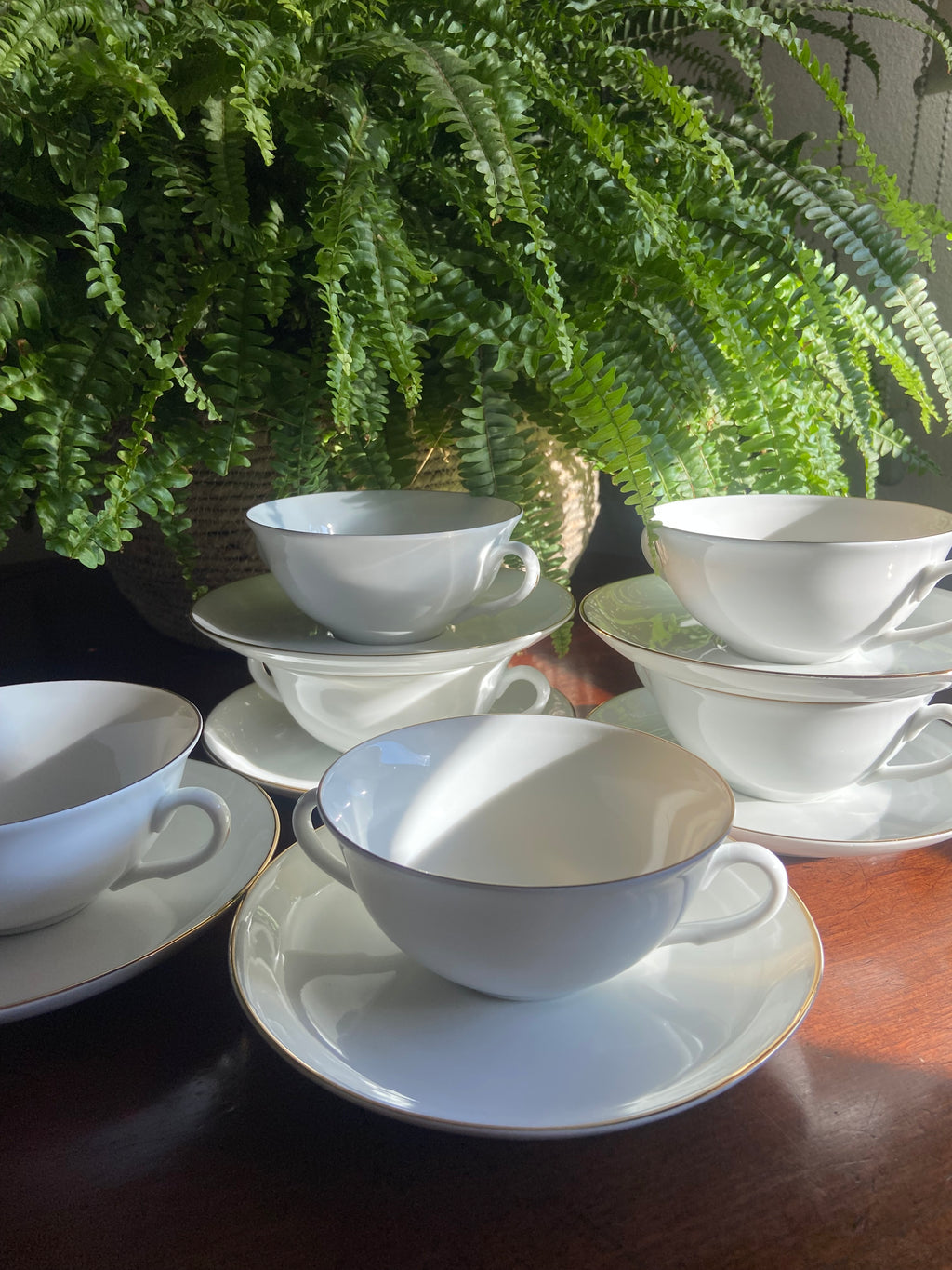 6 tazas consomé en porcelana "Bidasoa"