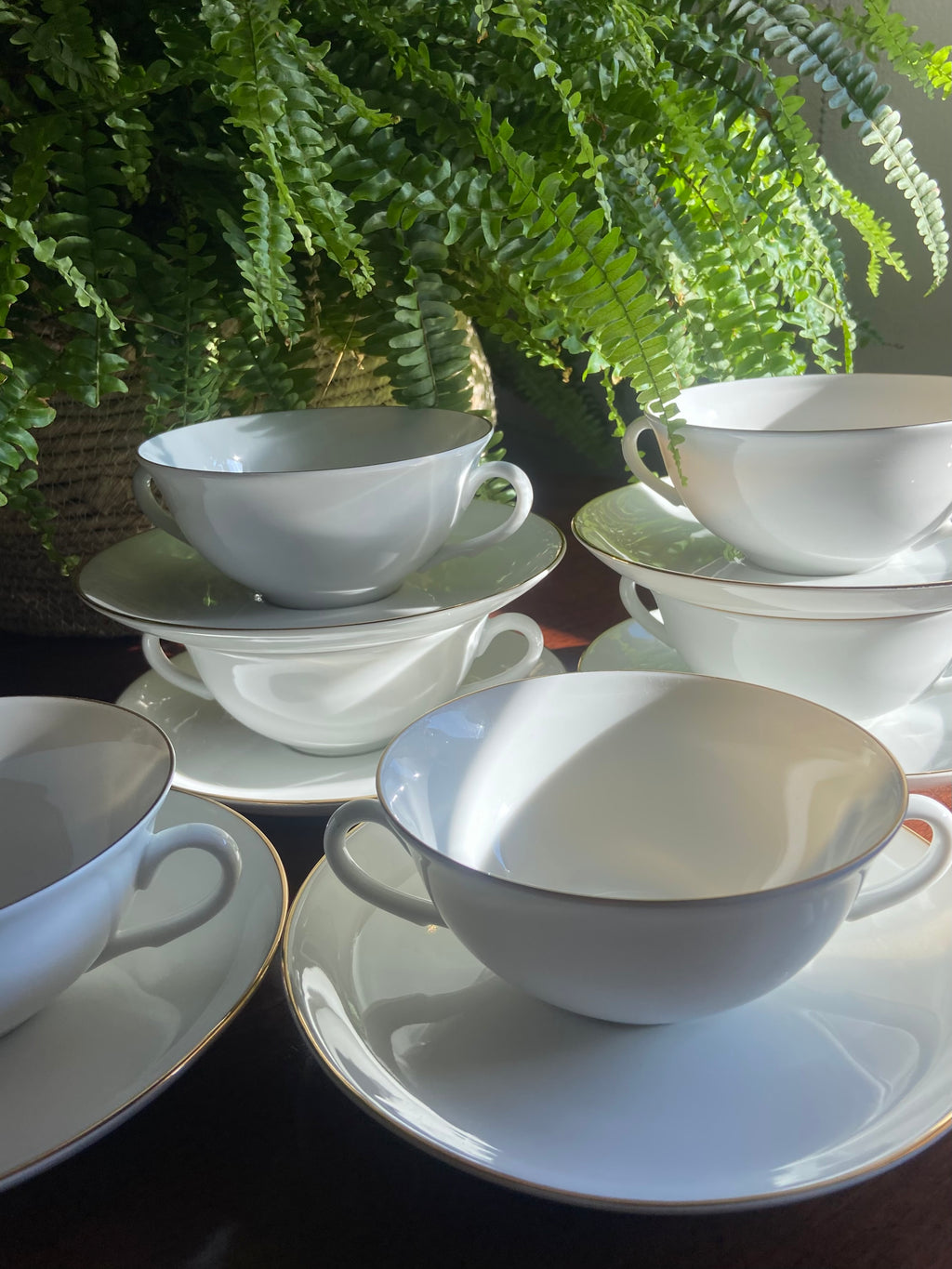 6 tazas consomé en porcelana "Bidasoa"