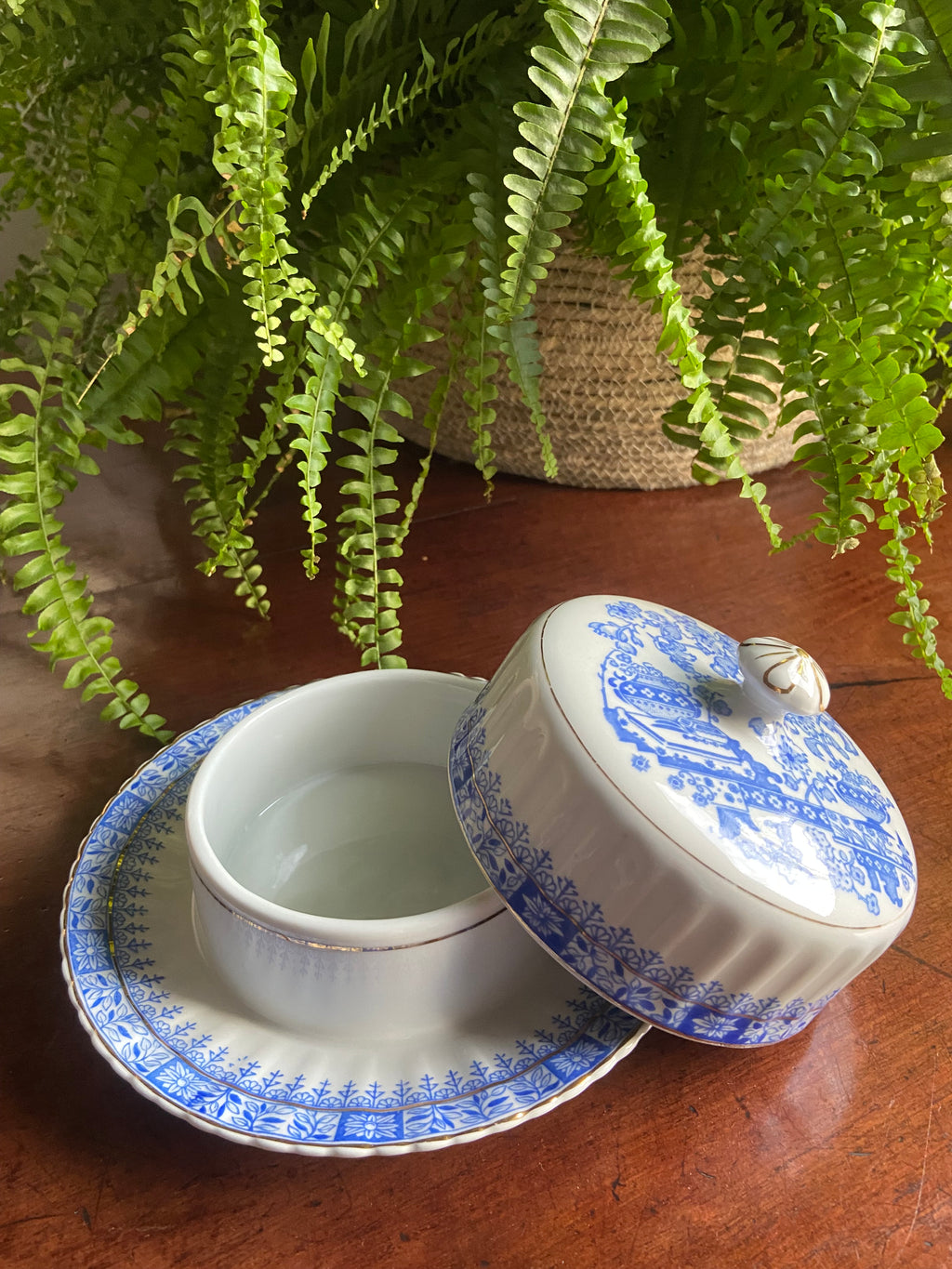Mantequillera en porcelana "Santa Clara"