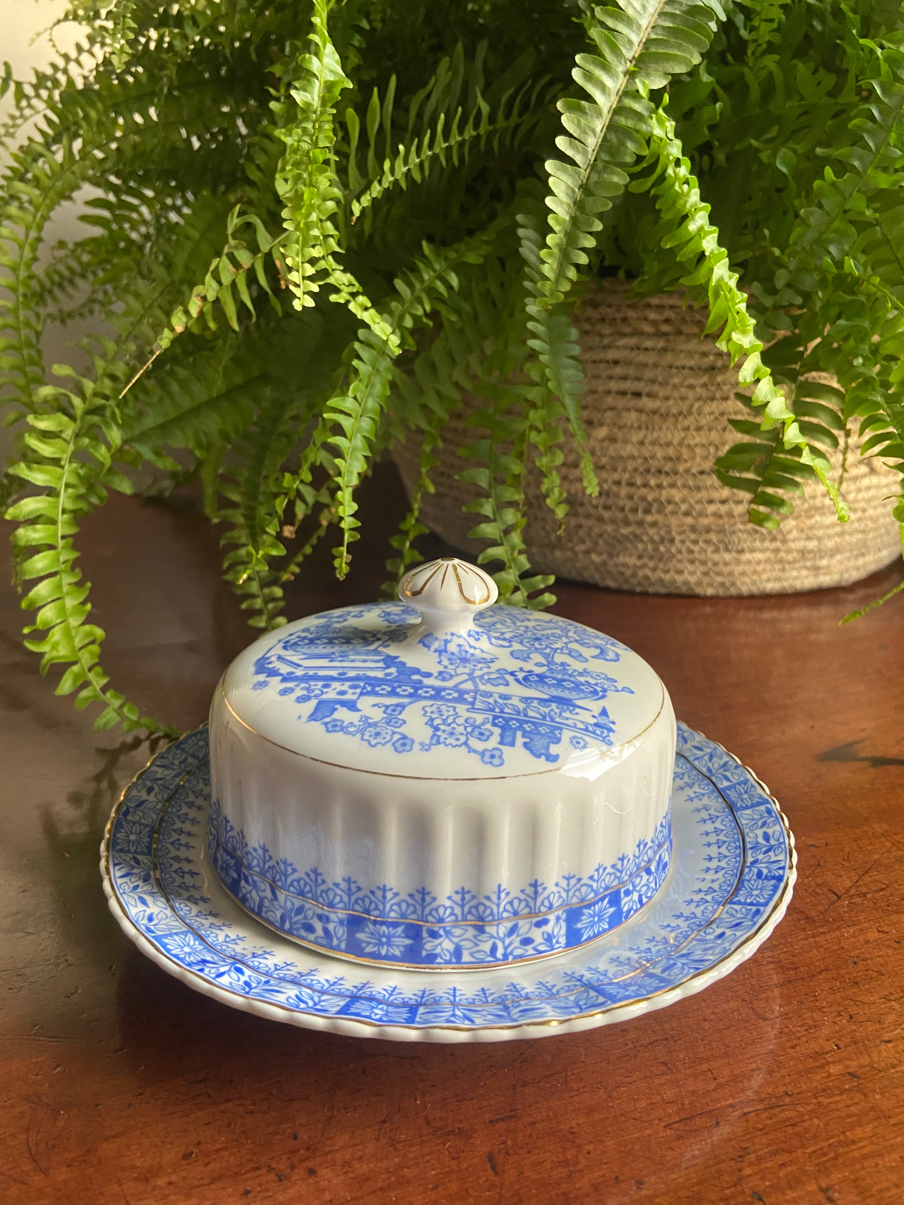 Mantequillera en porcelana "Santa Clara"