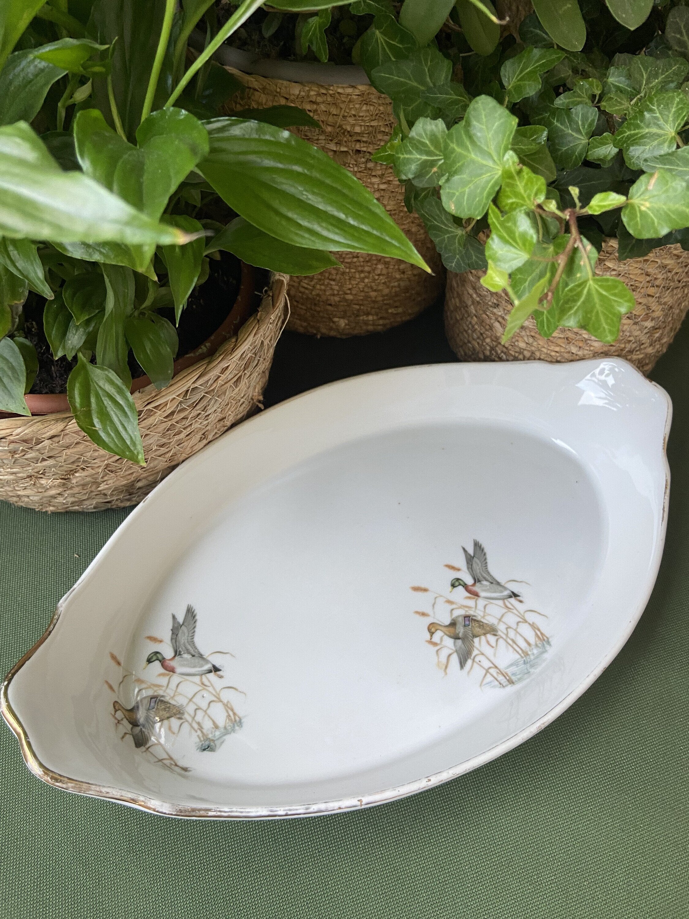 Fuente horno en porcelana refractaria "Isard"