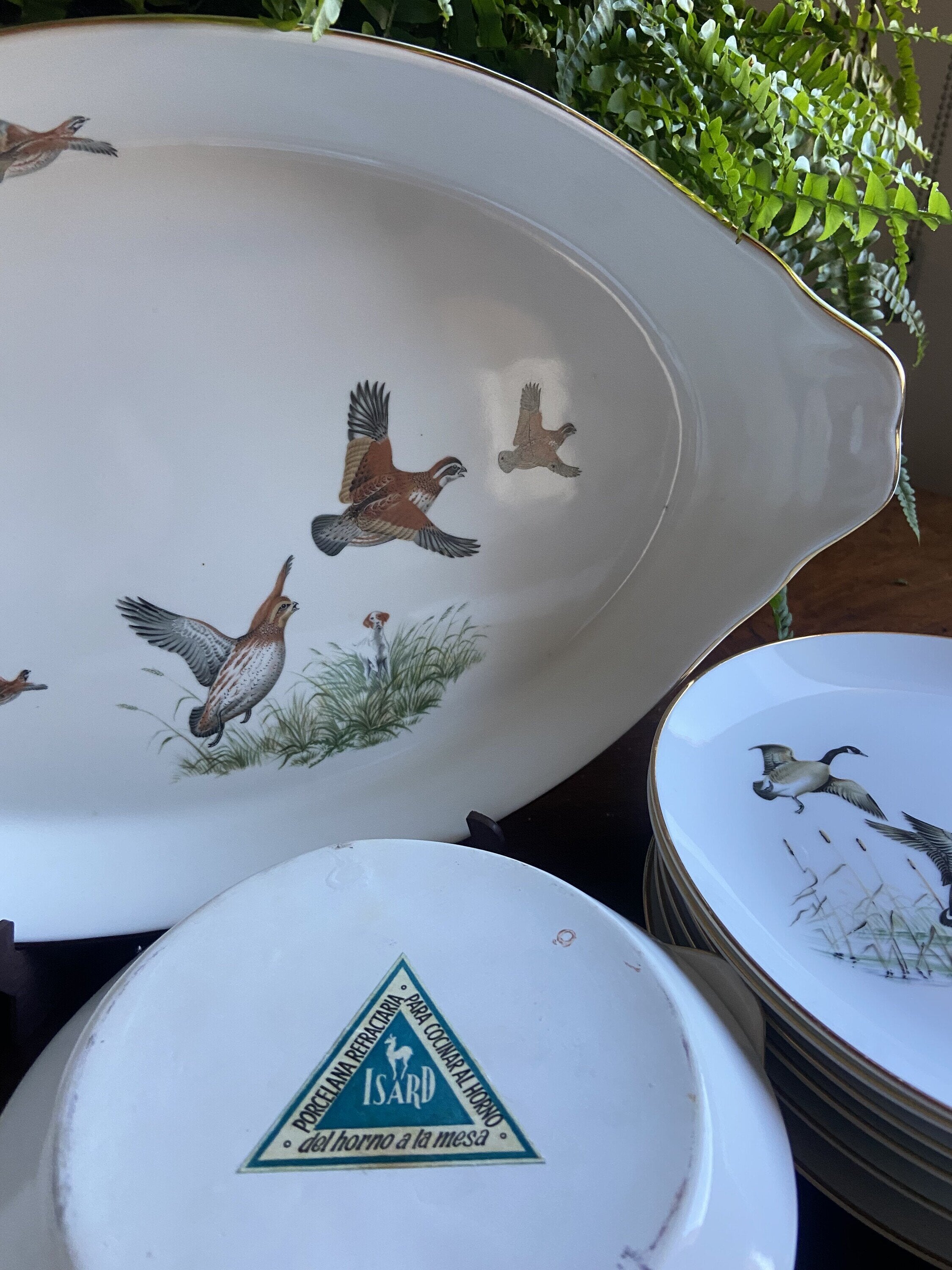 Fuente de horno en porcelana refractaria "Isard"