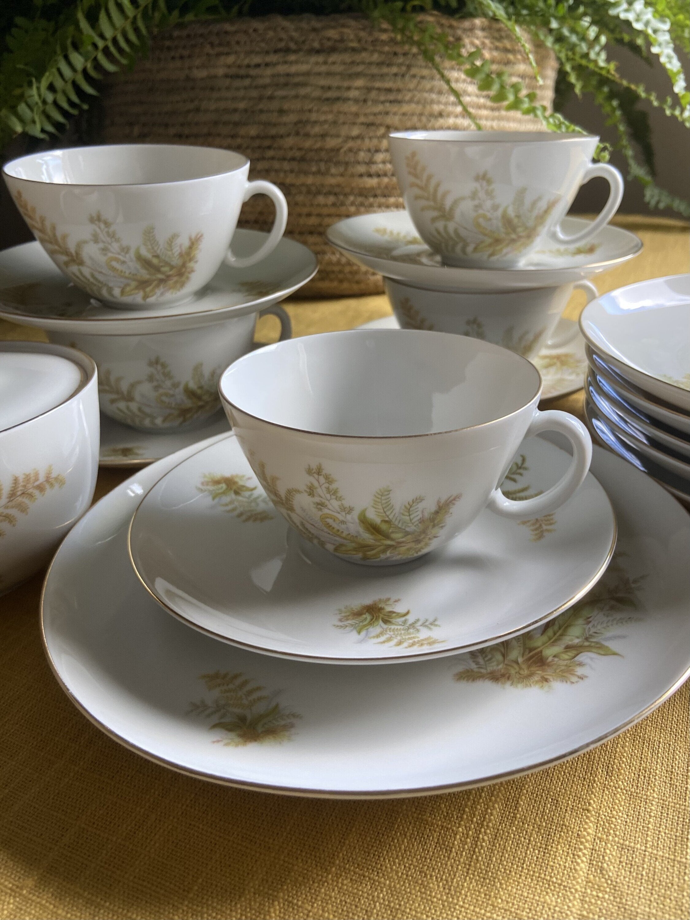 5 tazas de té/desayuno y 6 platos de merienda en porcelana suiza "Langenthal"