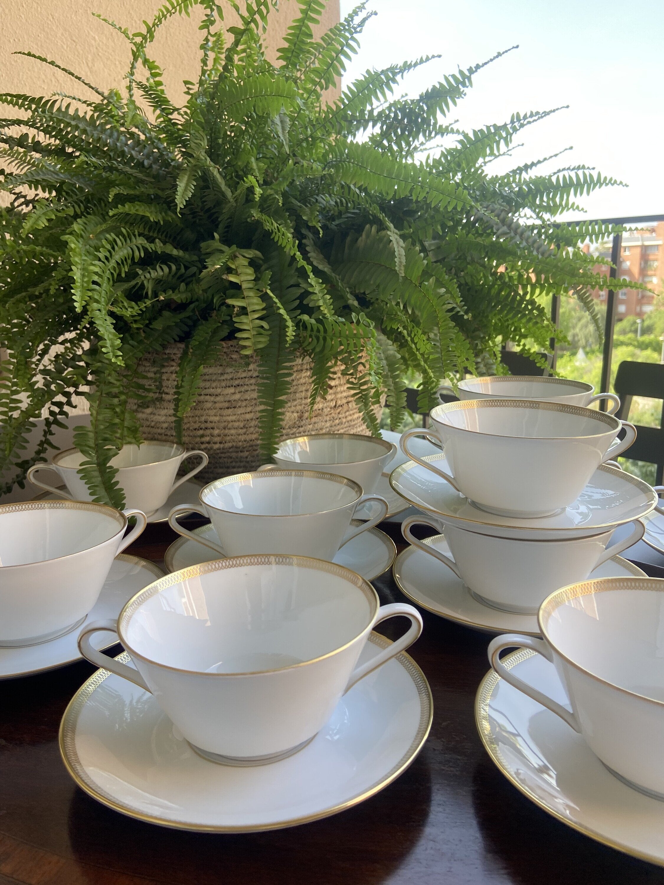 12 tazas de consomé en porcelana alemana "Eschenbach".
