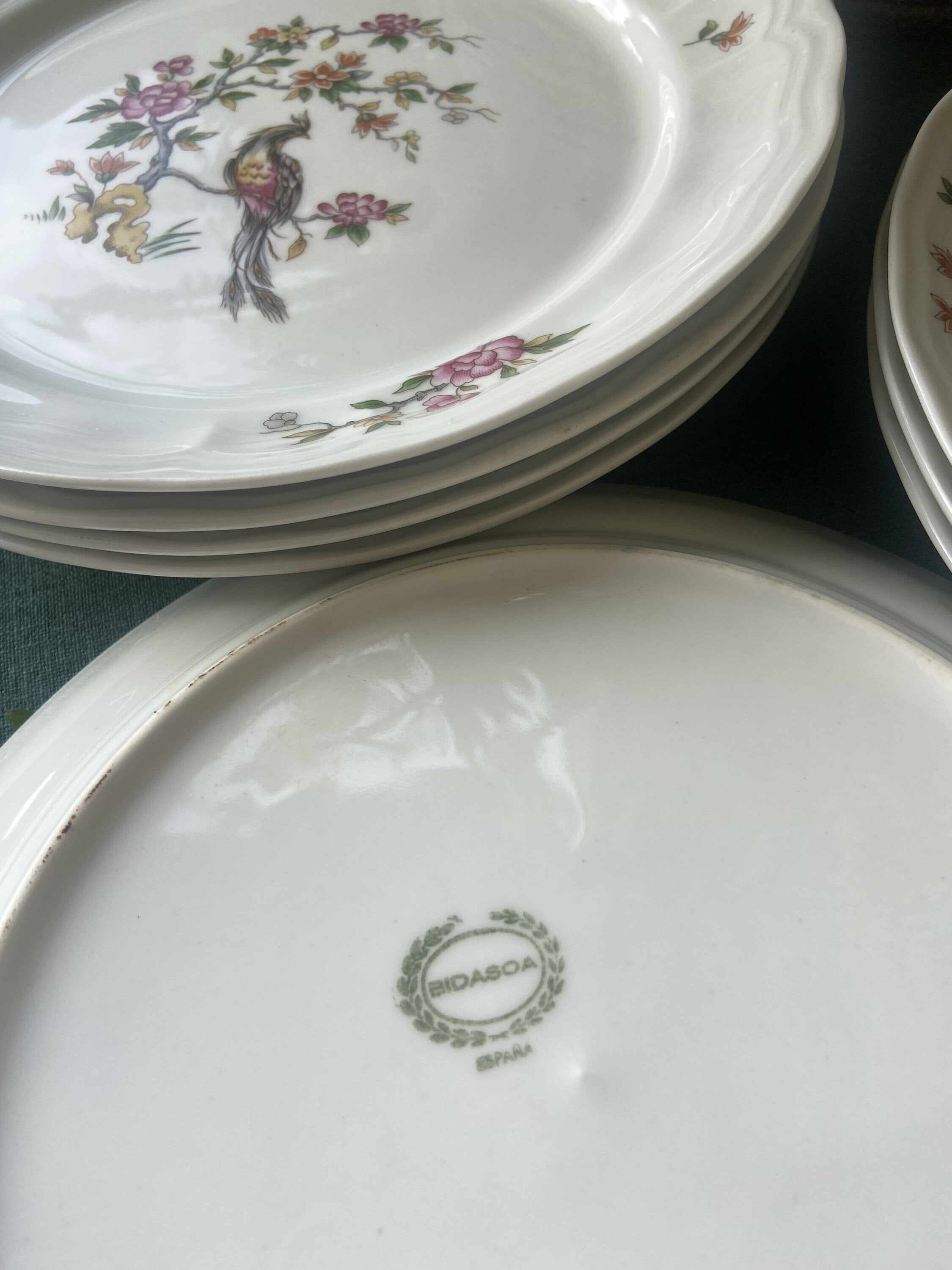 8 platos llanos en porcelana "Bidasoa".