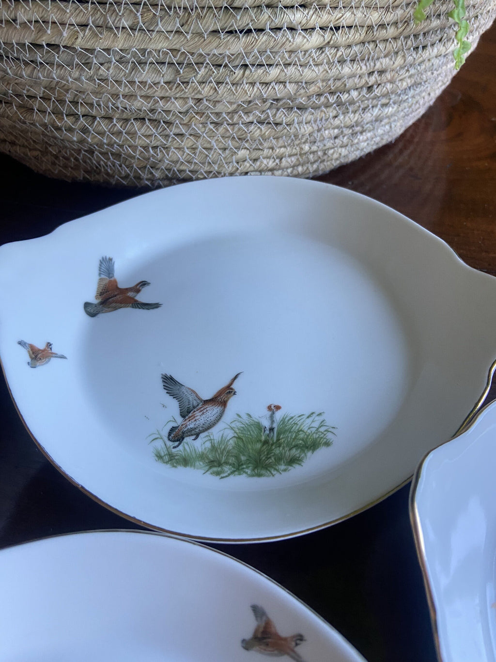 6 fuentes individuales en porcelana refractaria"Isard"