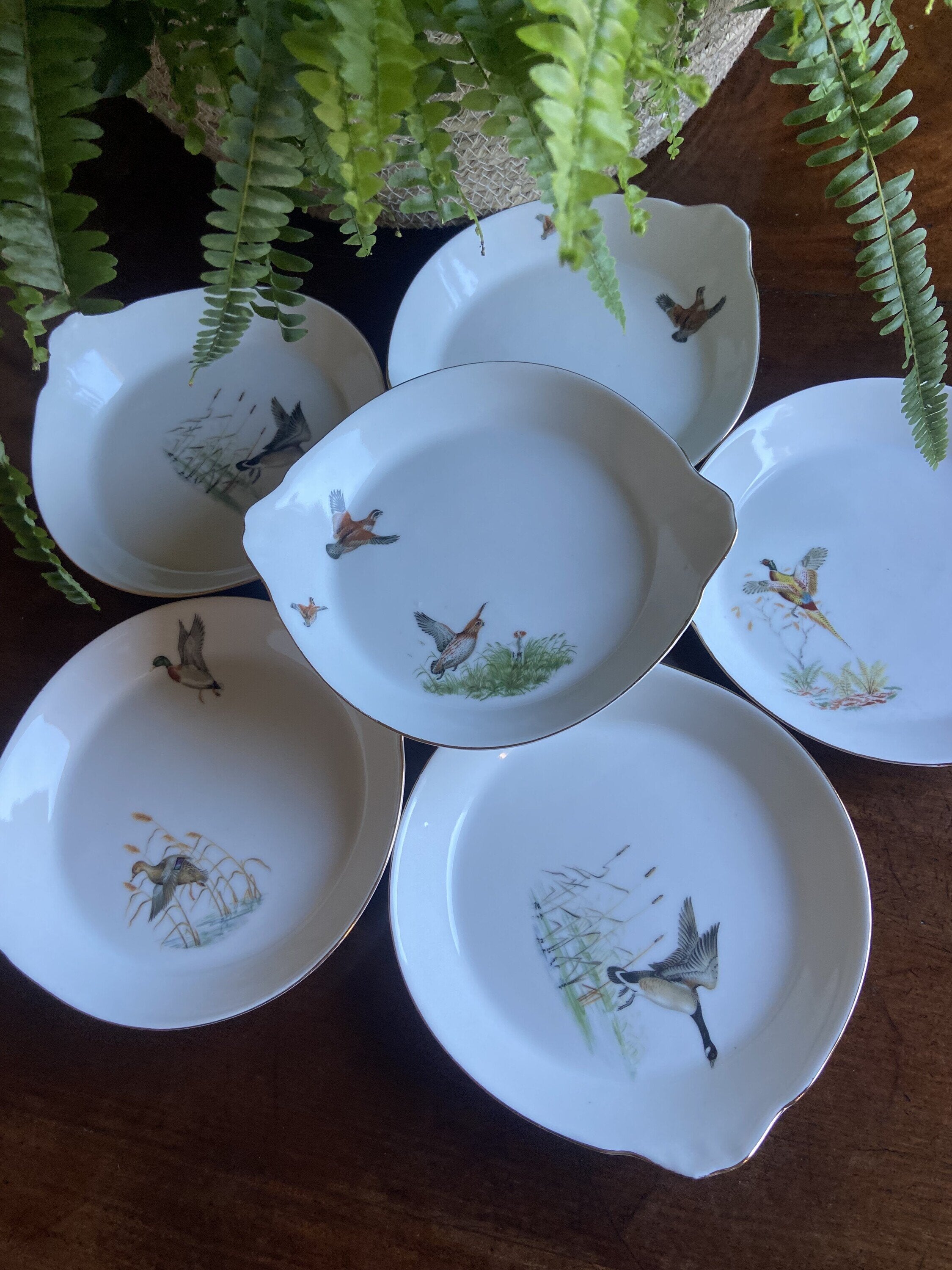 6 fuentes individuales en porcelana refractaria"Isard"