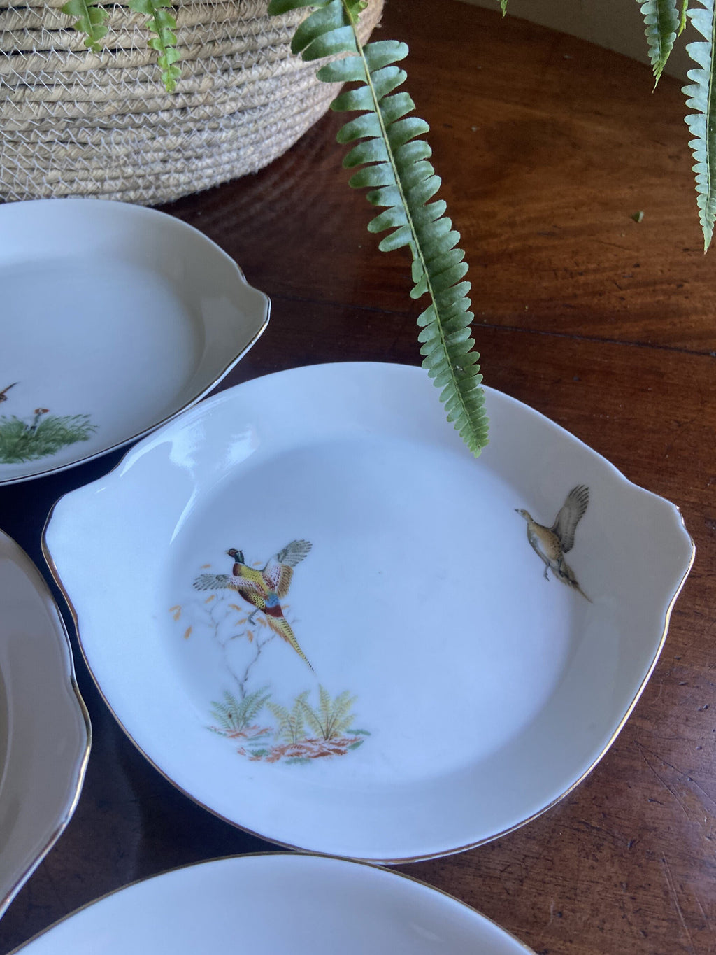 6 fuentes individuales en porcelana refractaria"Isard"
