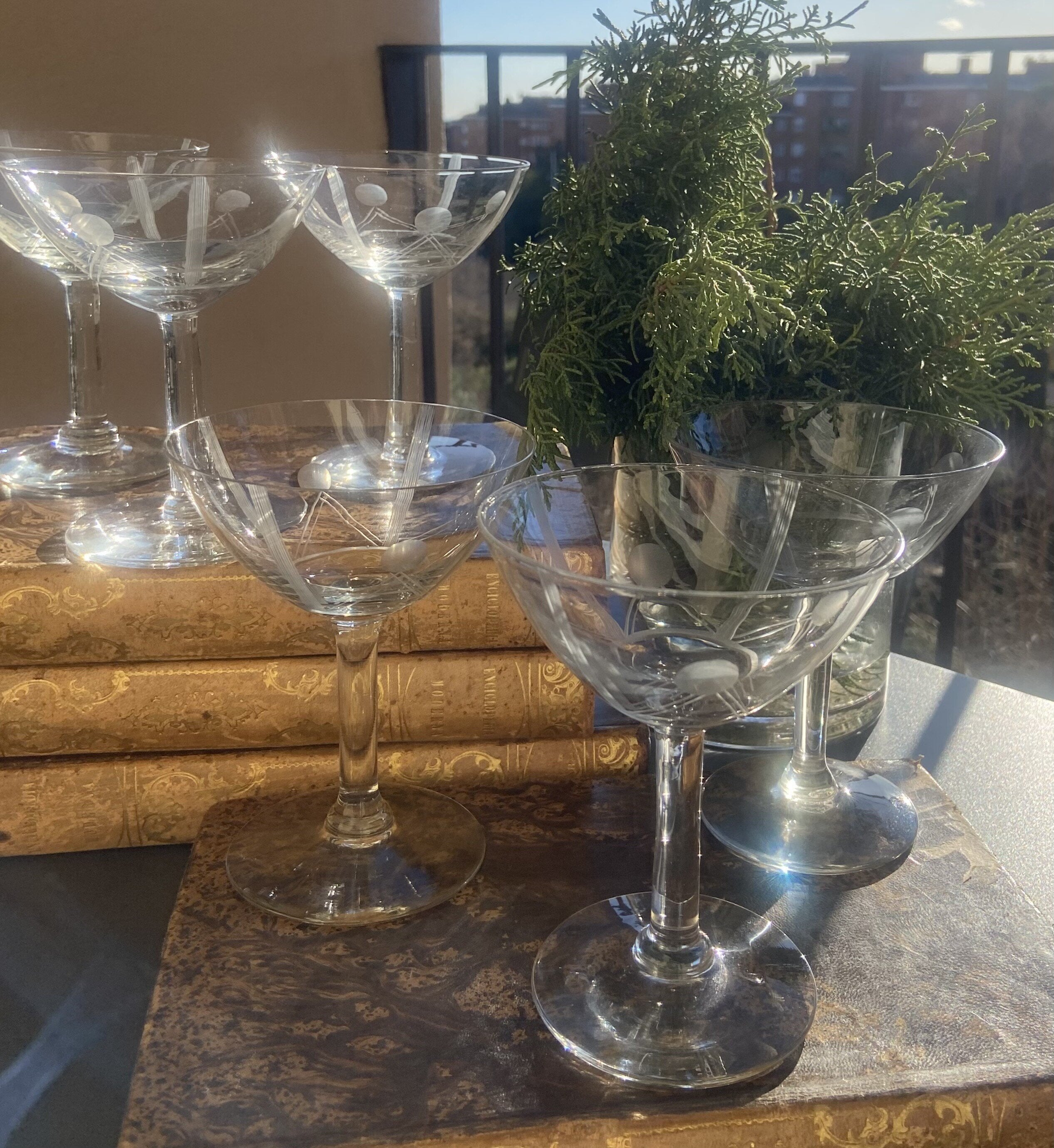 6 copas cava en vidrio tallado