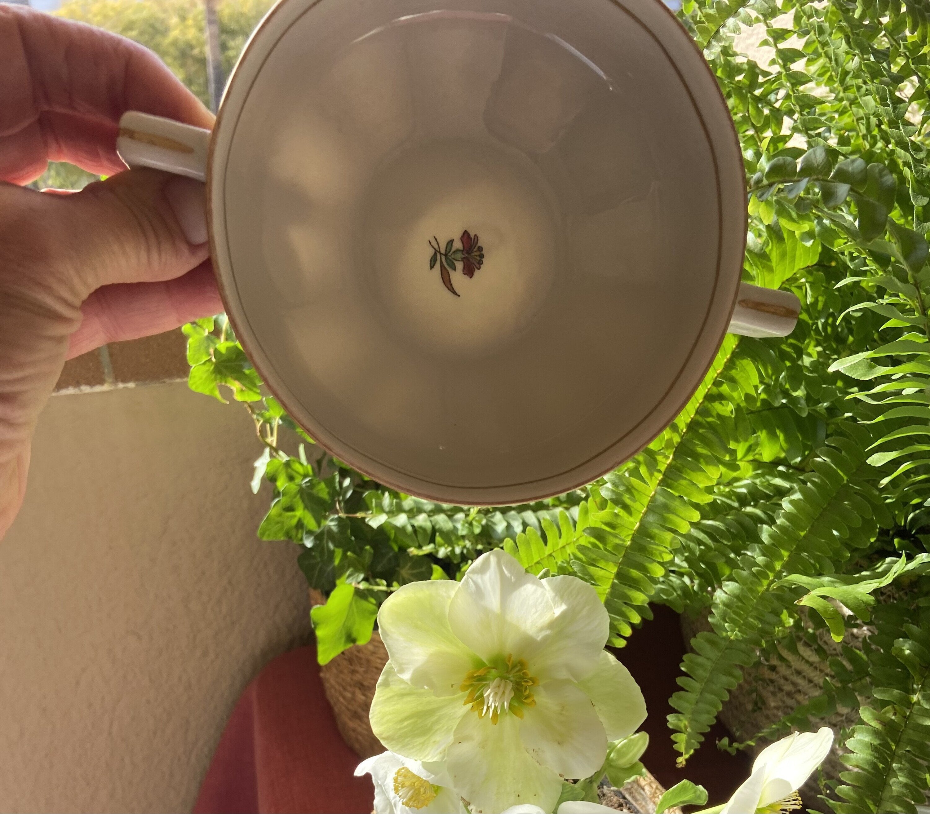 8 tazas de consomé en porcelana "Vista Alegre"