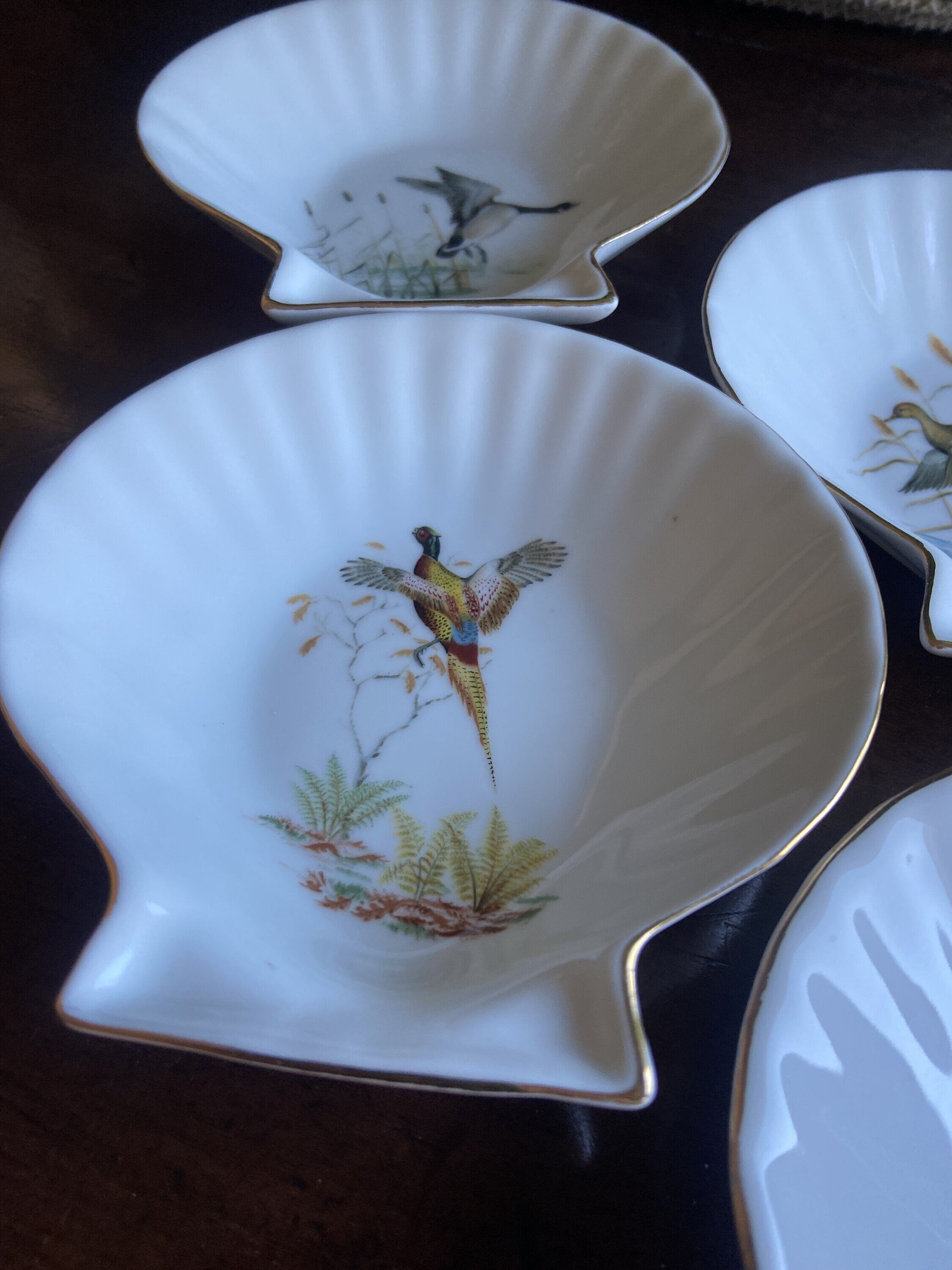 6 conchas en porcelana refractaria "Isard"