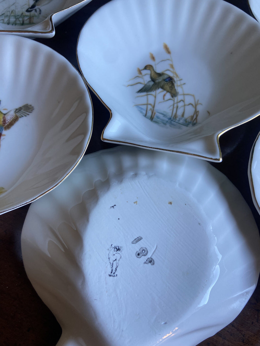 6 conchas en porcelana refractaria "Isard"