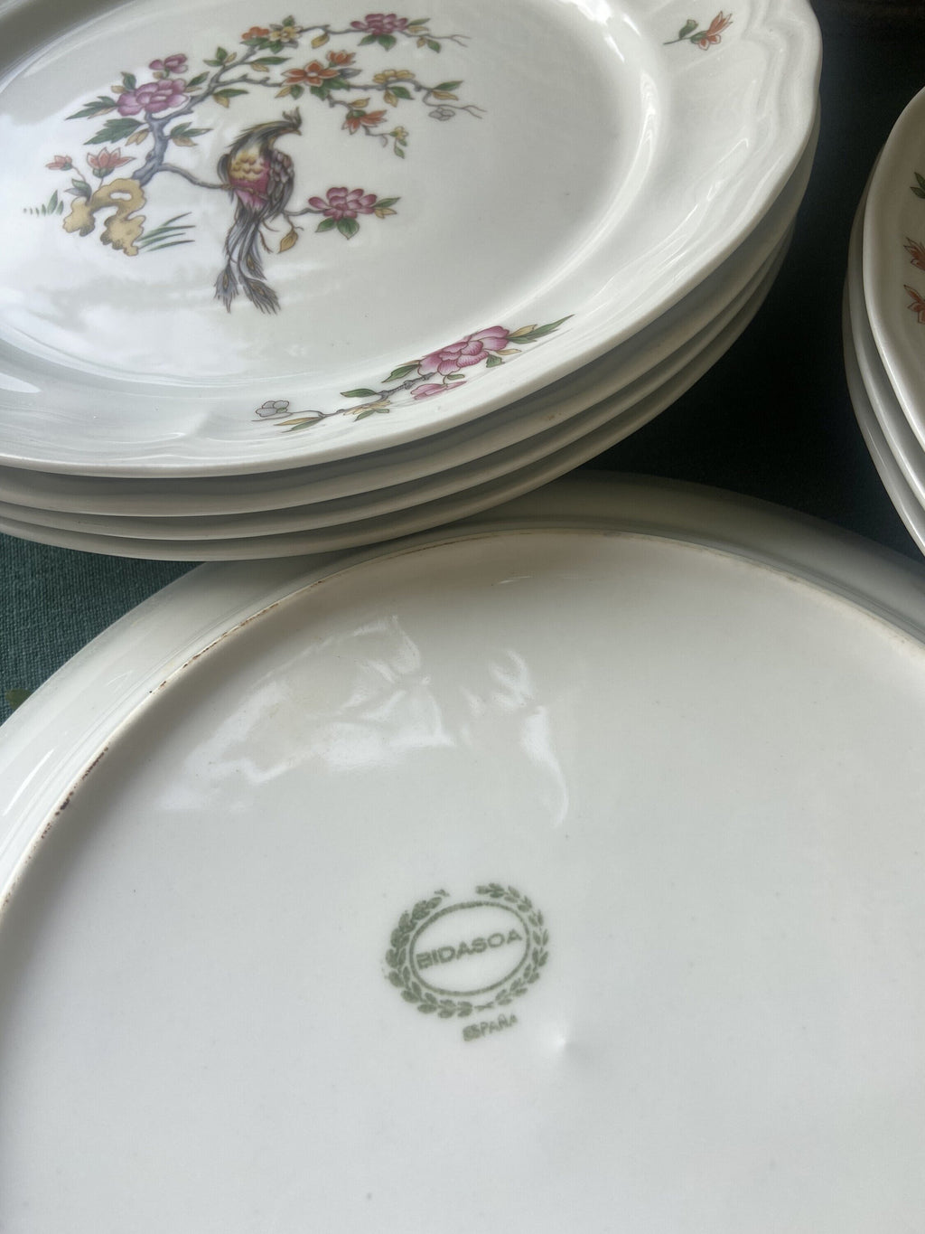 8 platos llanos en porcelana "Bidasoa".