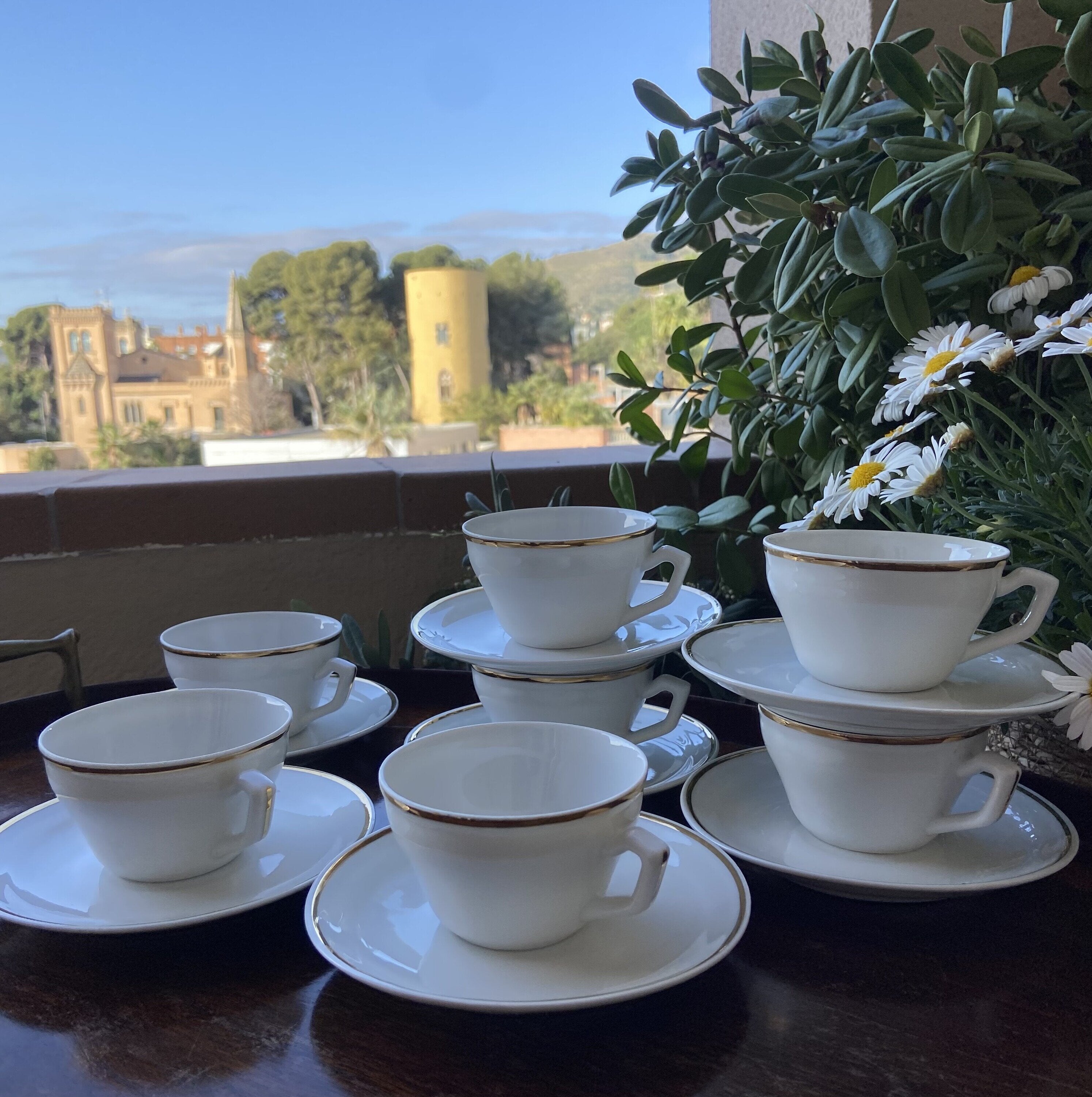 6 tazas de café en porcelana.
