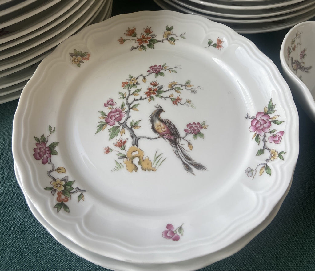 8 platos llanos en porcelana "Bidasoa".