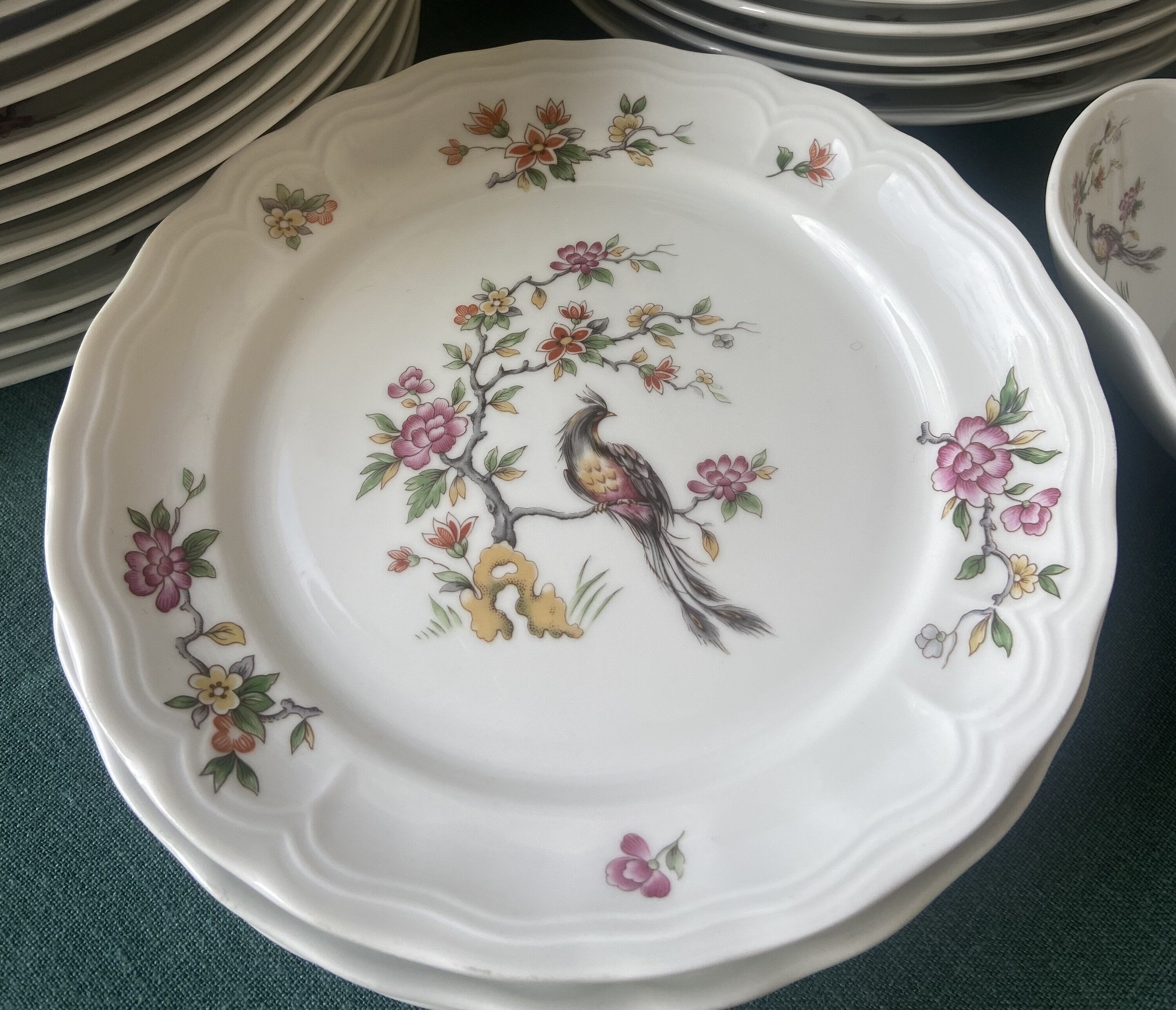 8 platos llanos en porcelana "Bidasoa".