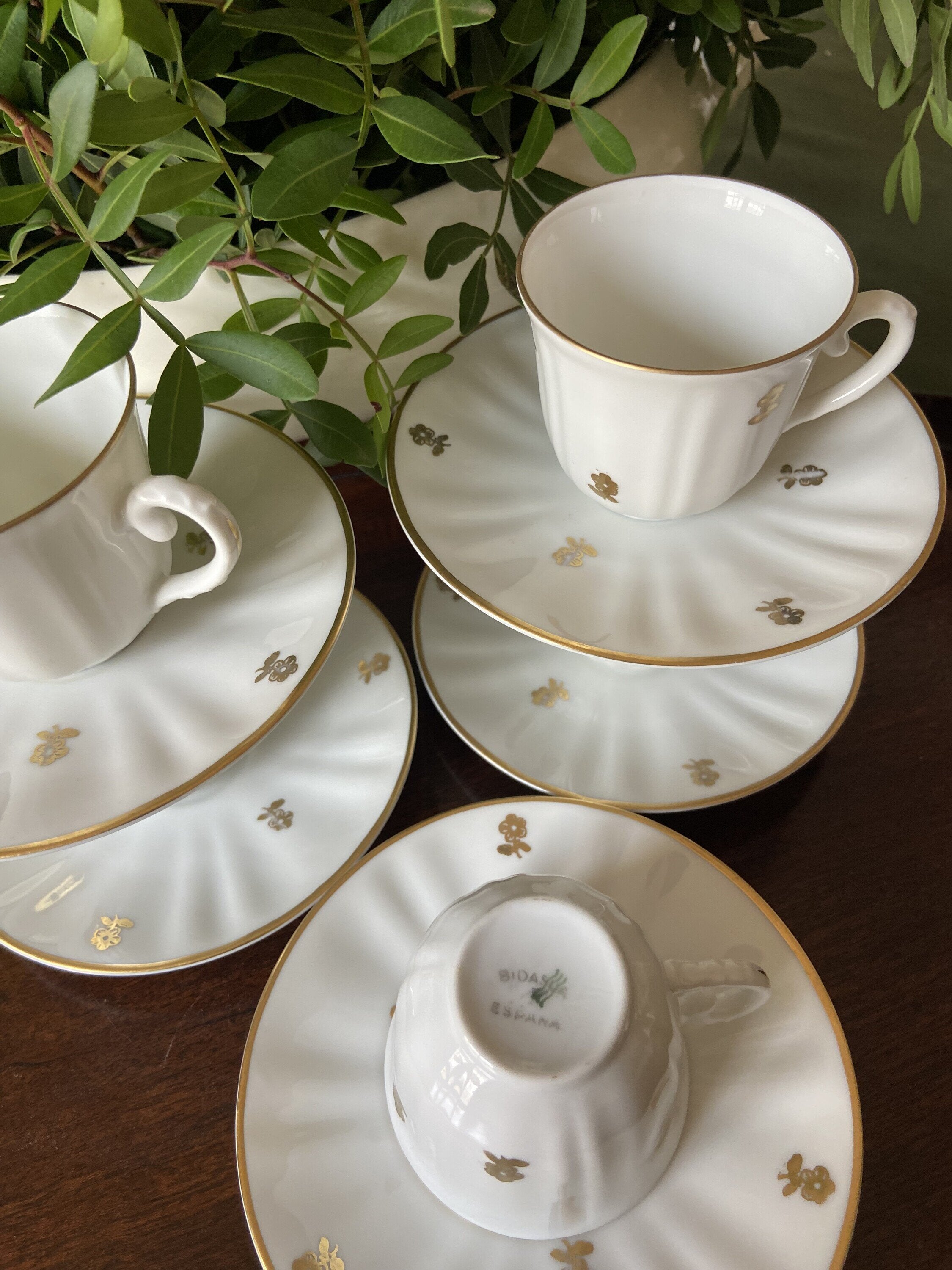 6 tazas café fina porcelana "Bidasoa"