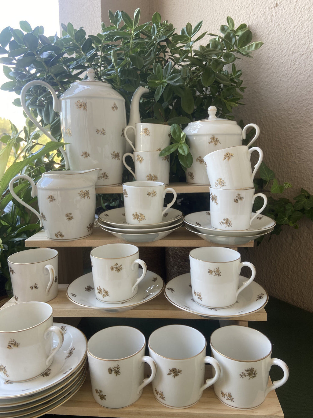 Juego de café en porcelana "Bidasoa".