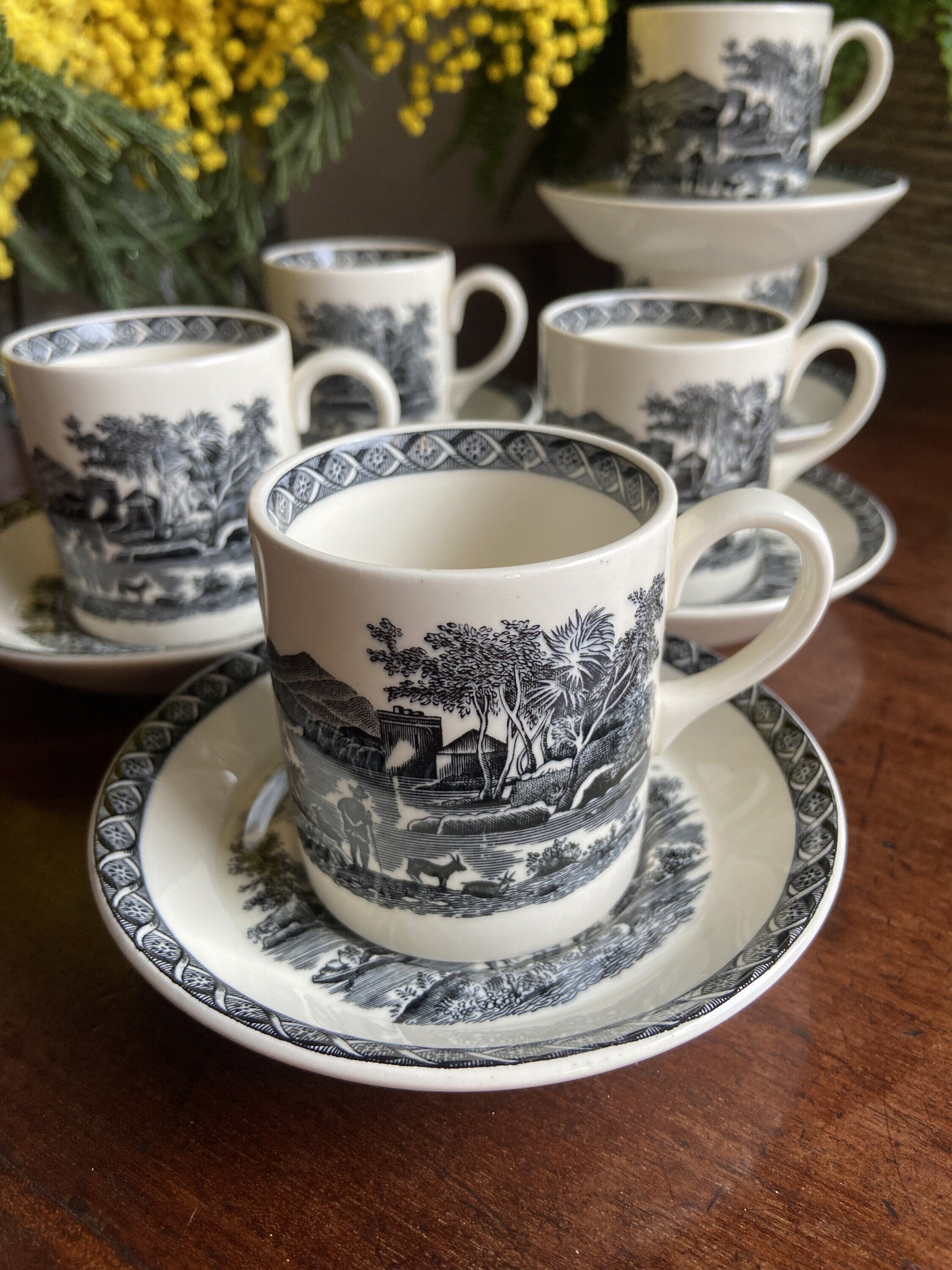 6 tazas de café en porcelana inglesa"Wegwood" (mod.Lugano)
