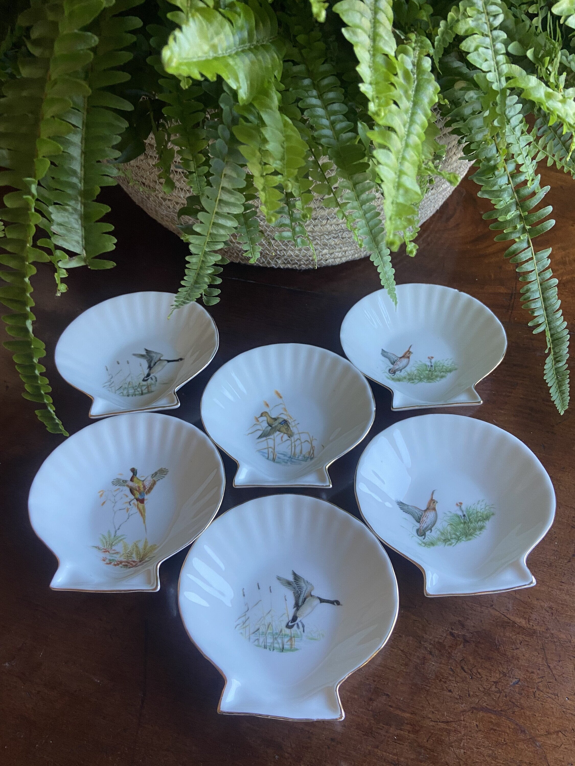 6 conchas en porcelana refractaria "Isard"