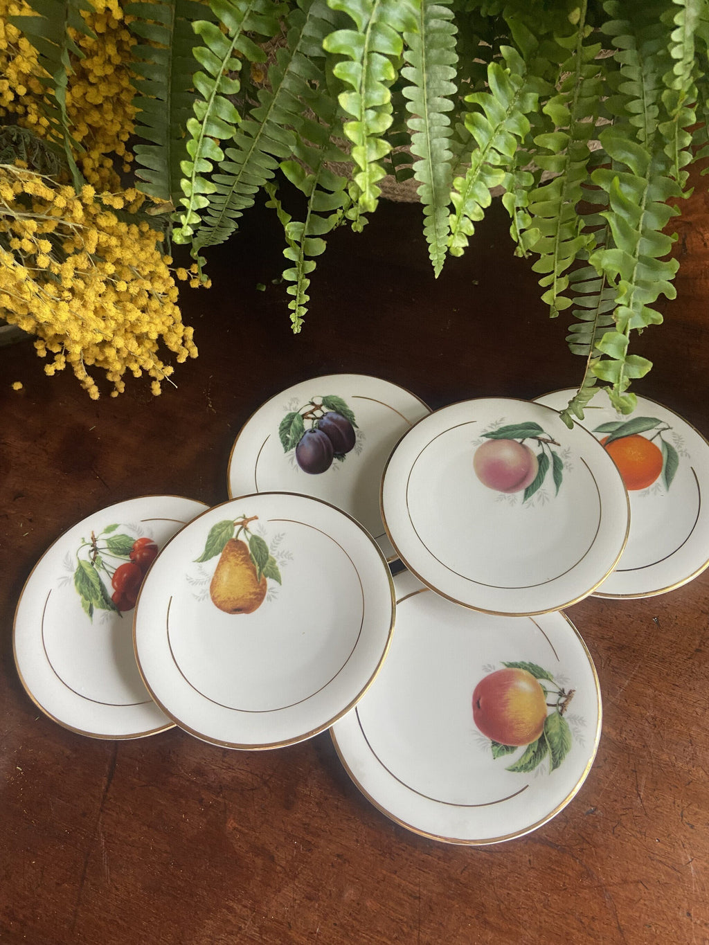 6 platos pan en porcelana
