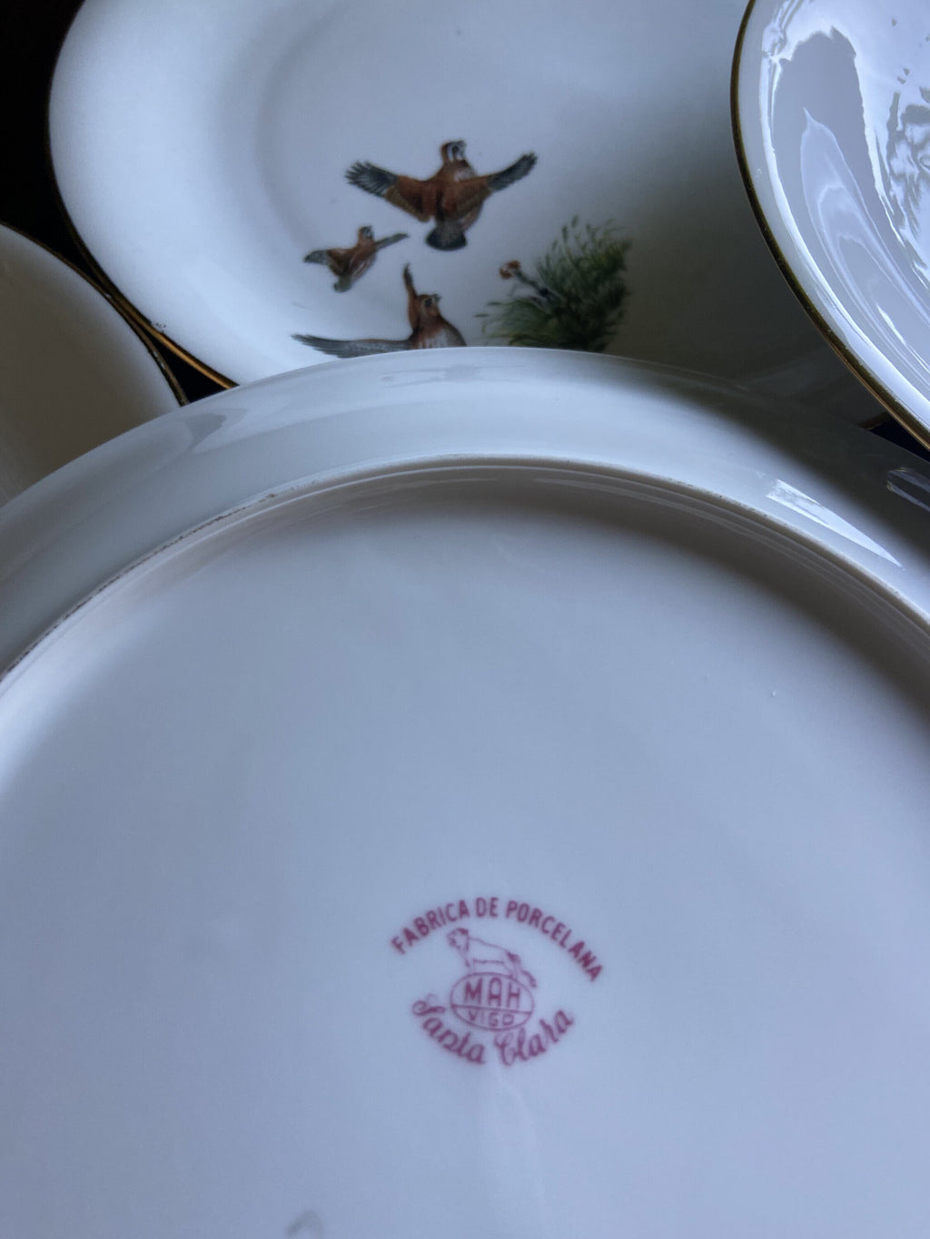 6 platos llanos en porcelana "Santa Clara".