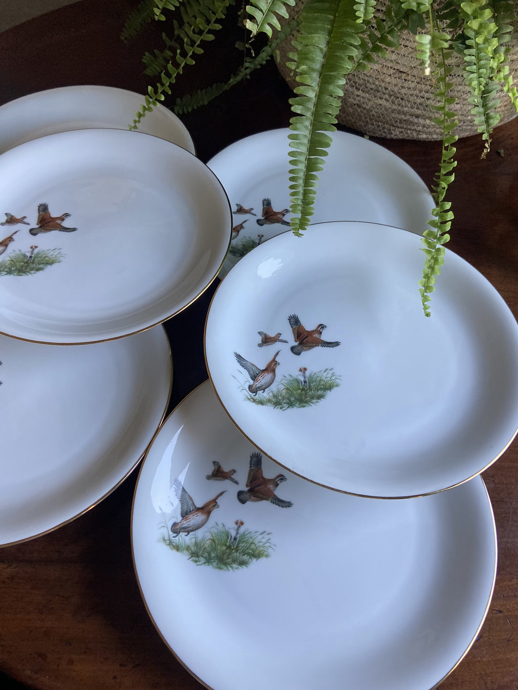 6 platos llanos en porcelana "Santa Clara".