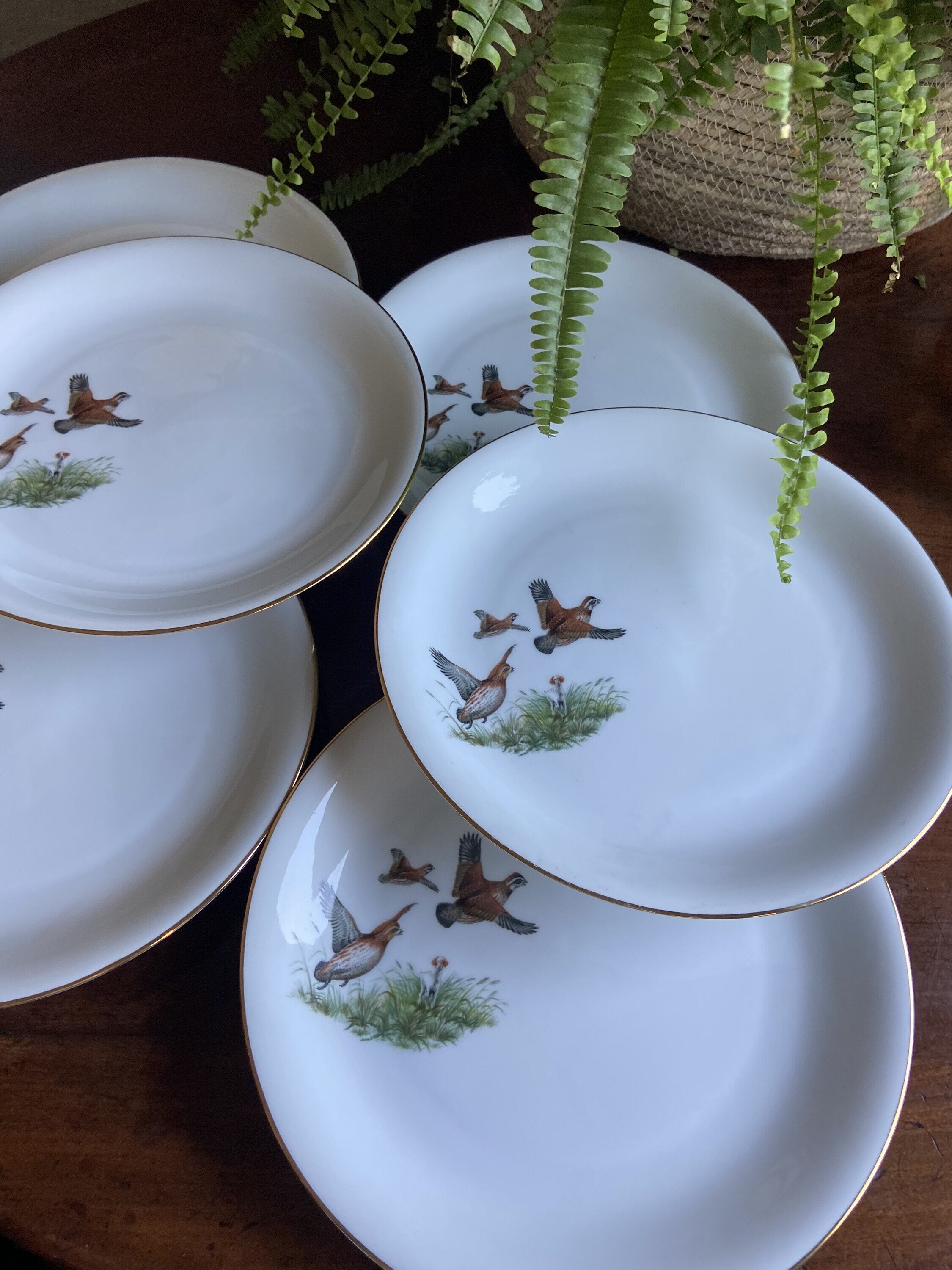 6 platos llanos en porcelana "Santa Clara".
