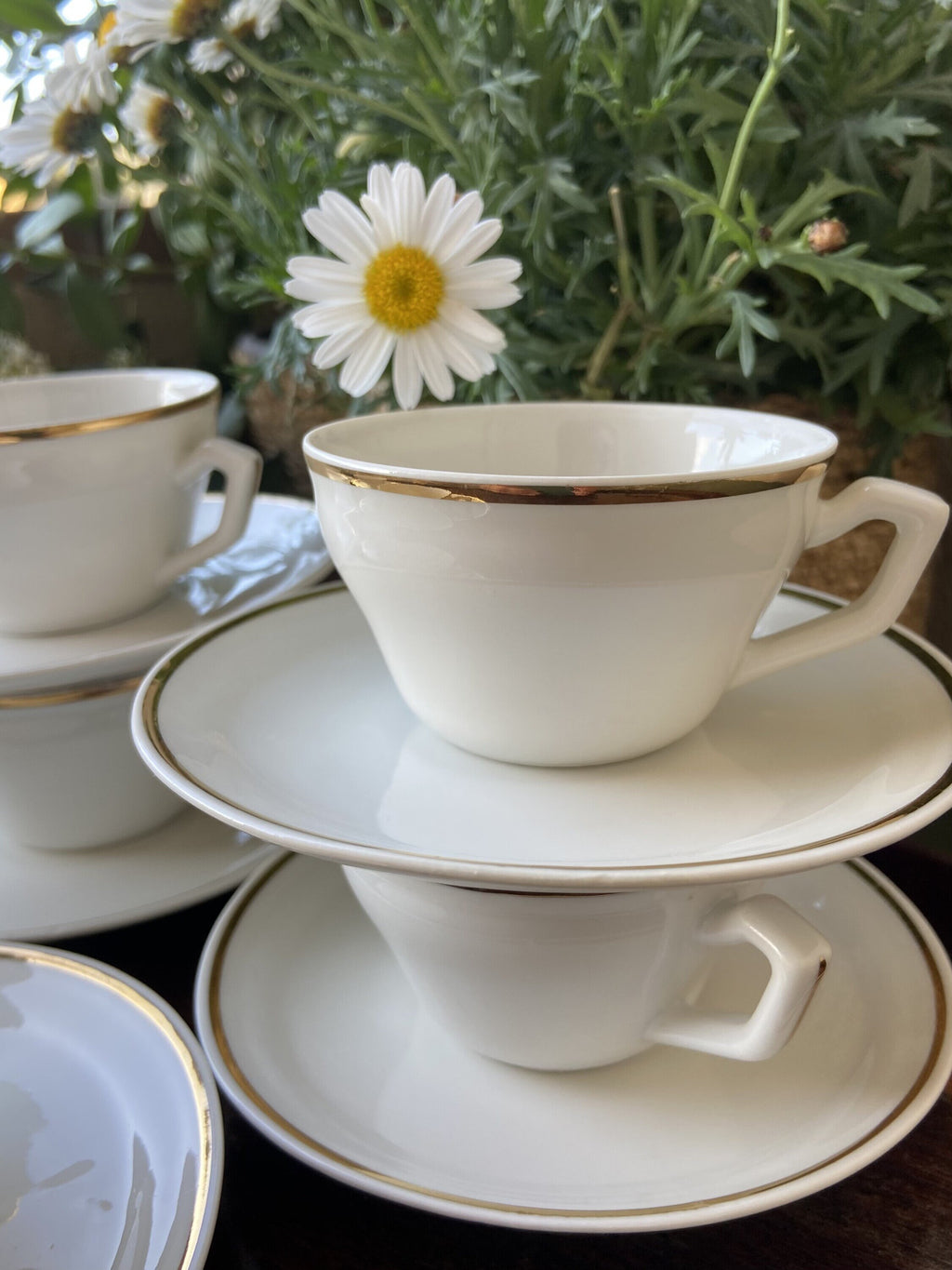 6 tazas de café en porcelana.