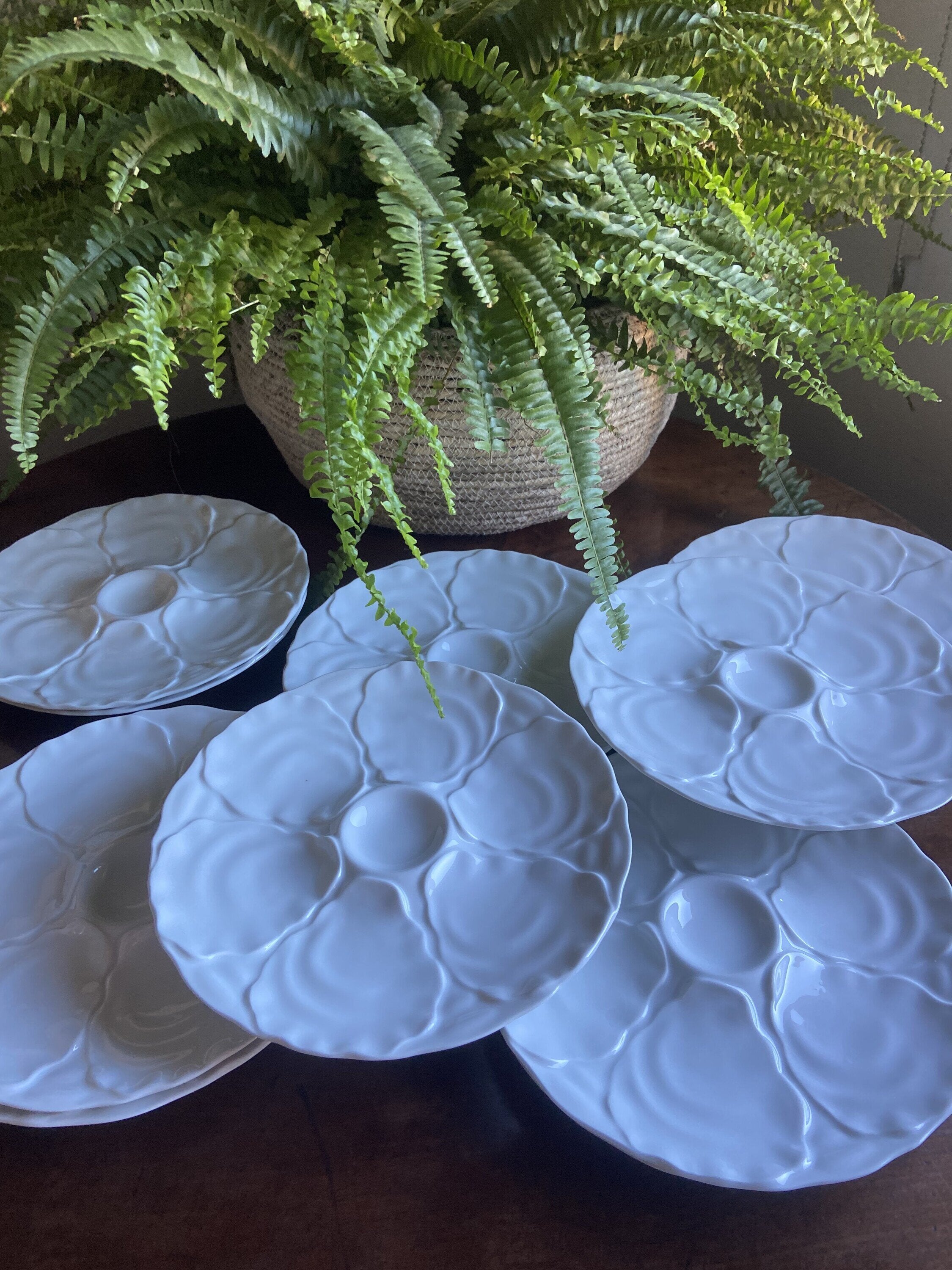 Platos para ostras en porcelana "Bidasoa".