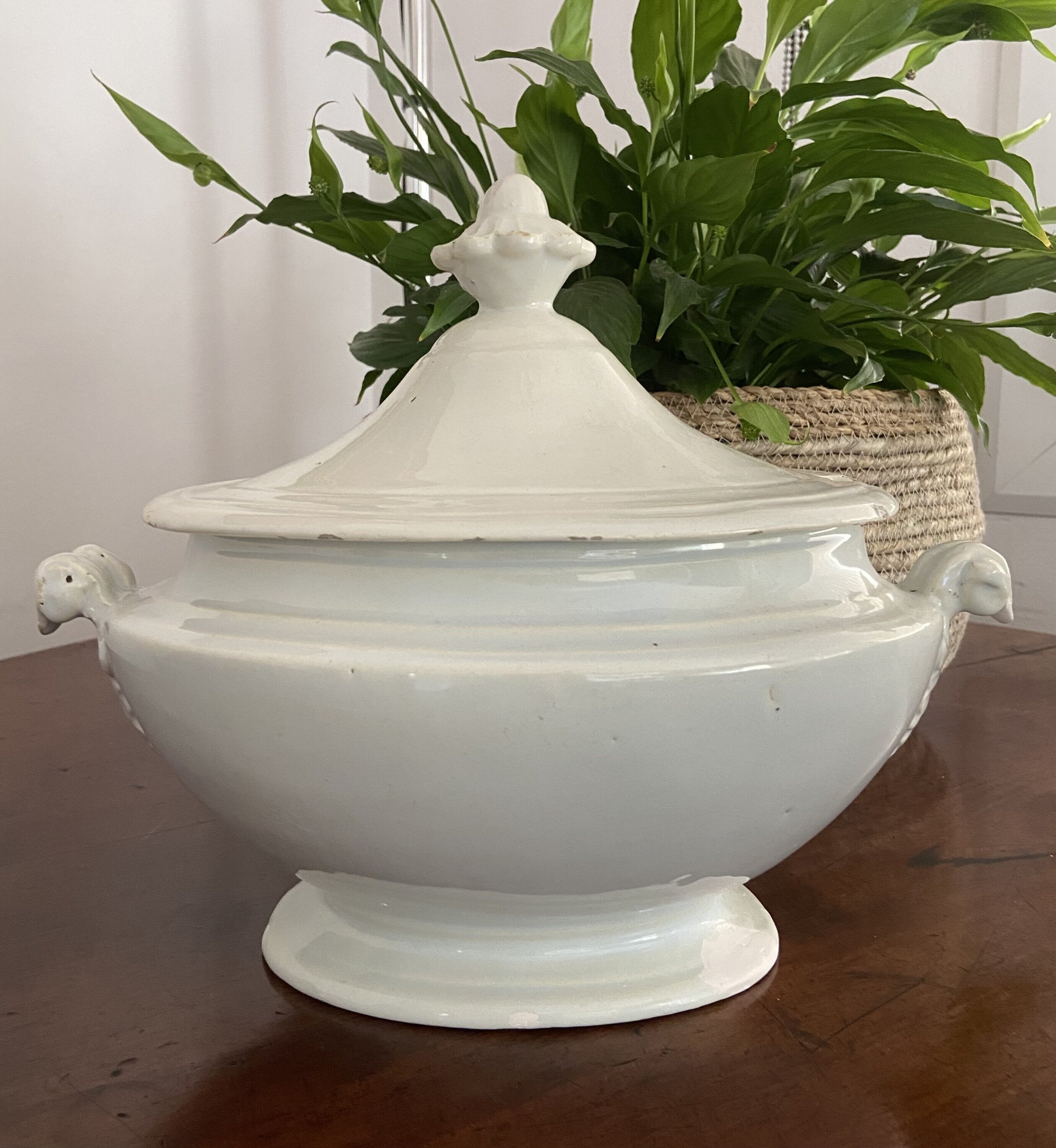 Sopera ovalada con engalba en blanco.