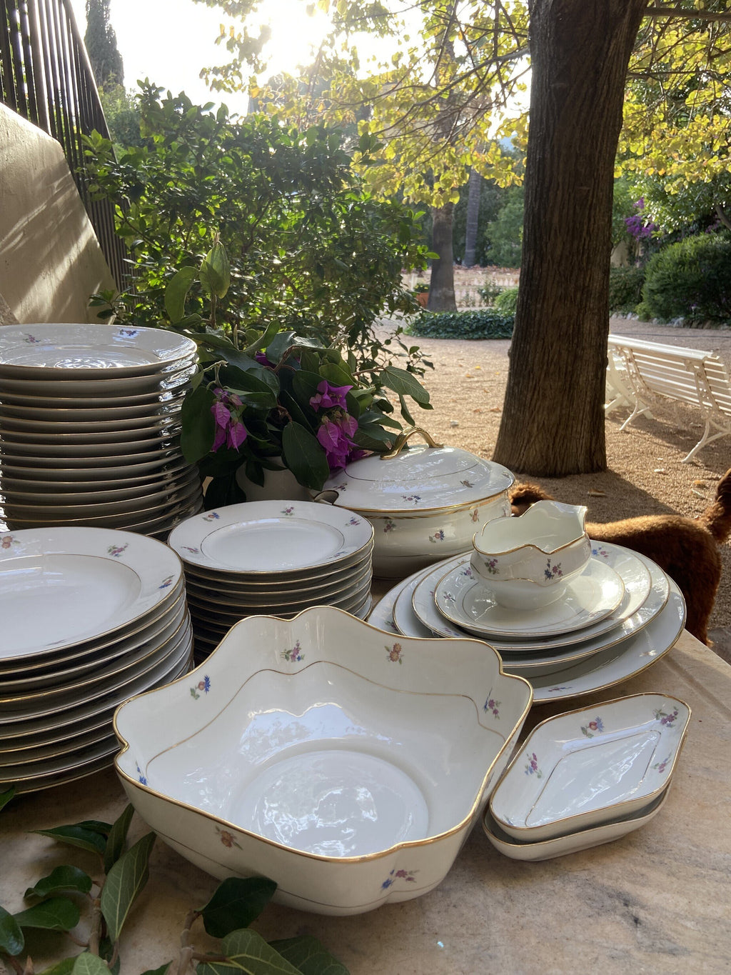 Vajilla en porcelana "Bidasoa", para 10 comensales.