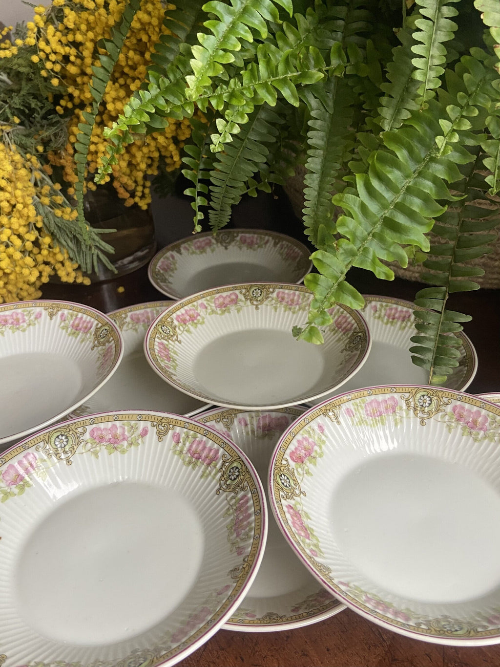 11 platos pan en porcelana francesa