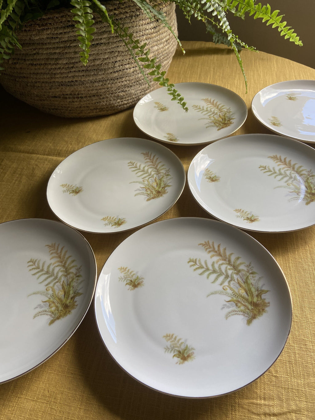 5 tazas de té/desayuno y 6 platos de merienda en porcelana suiza "Langenthal"