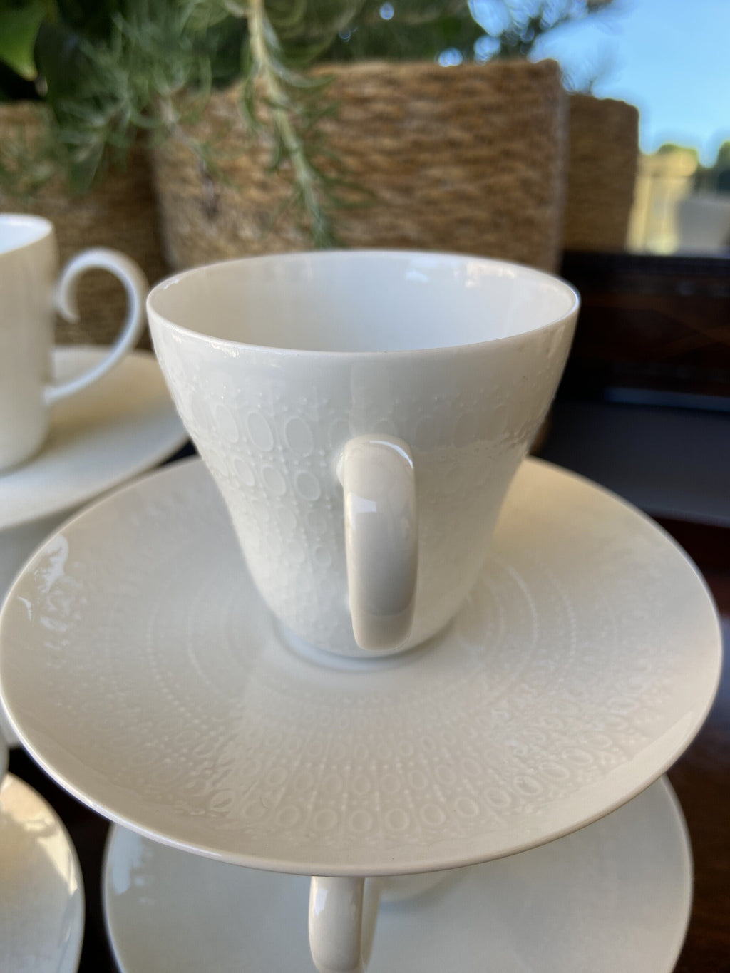 6 tazas en fina porcelana alemana "Rosenthal".