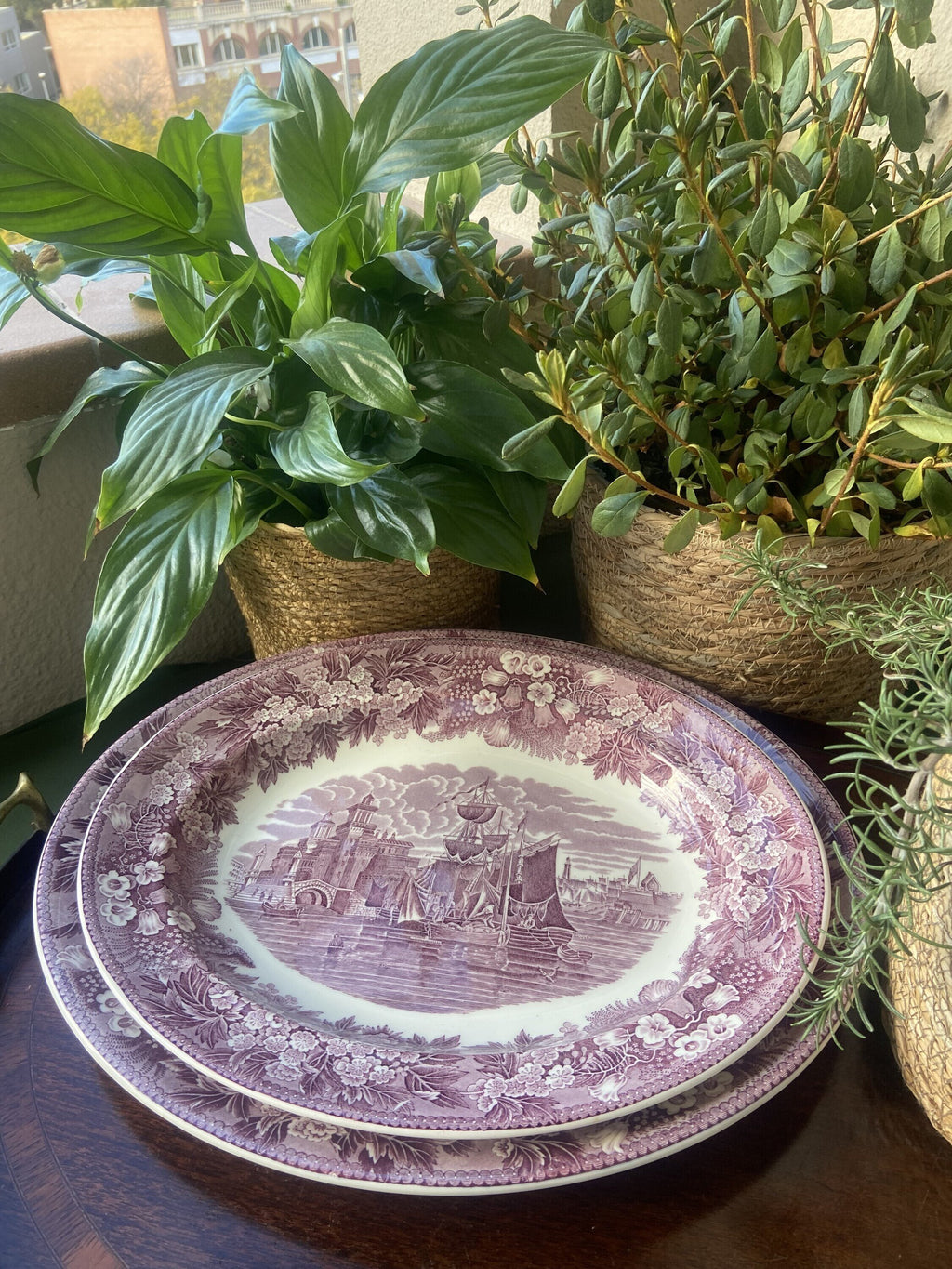 Fuentes en porcelana inglesa "Wedgwood".