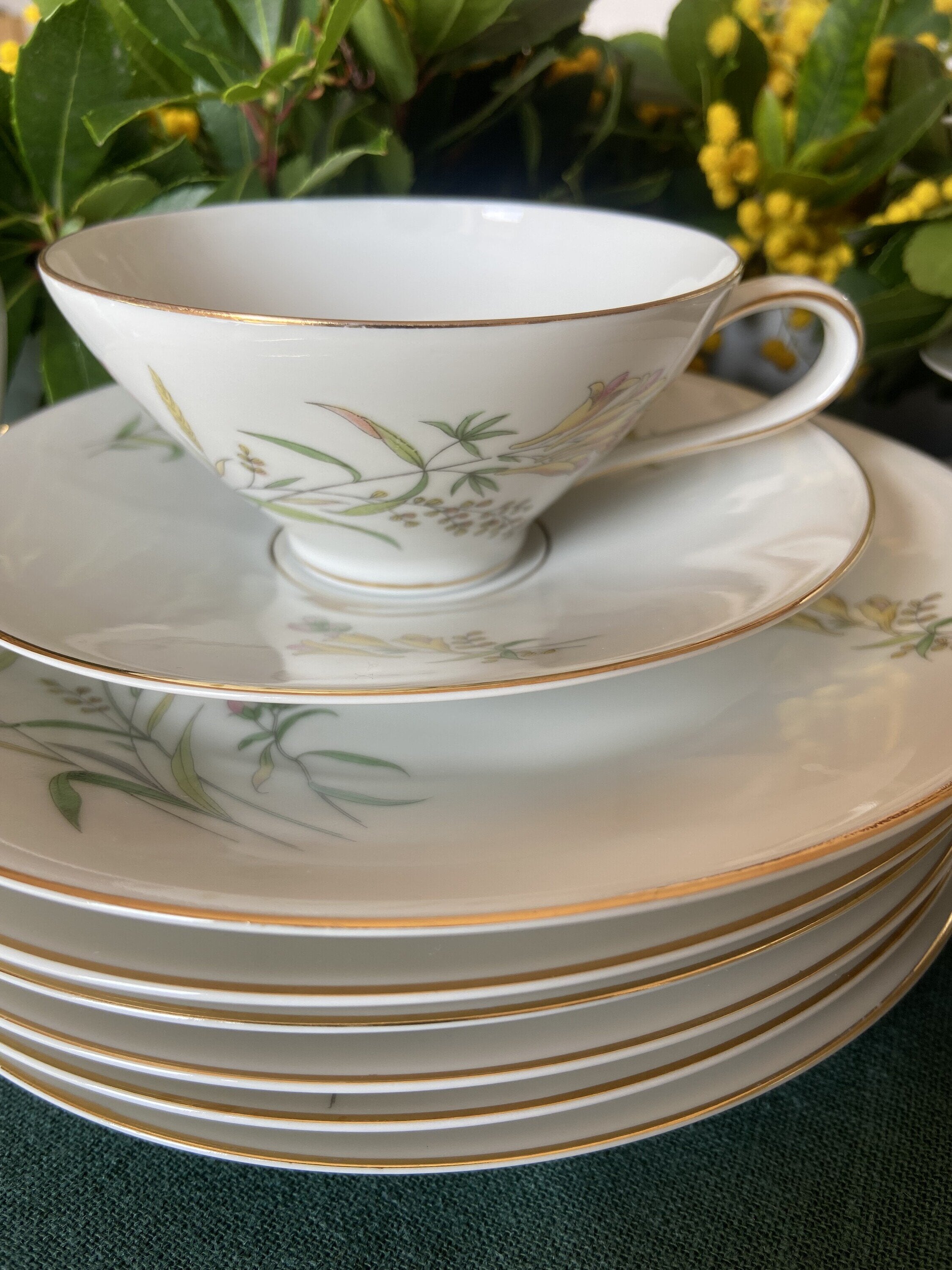 Juego de té en porcelana alemana "Rossenthal"