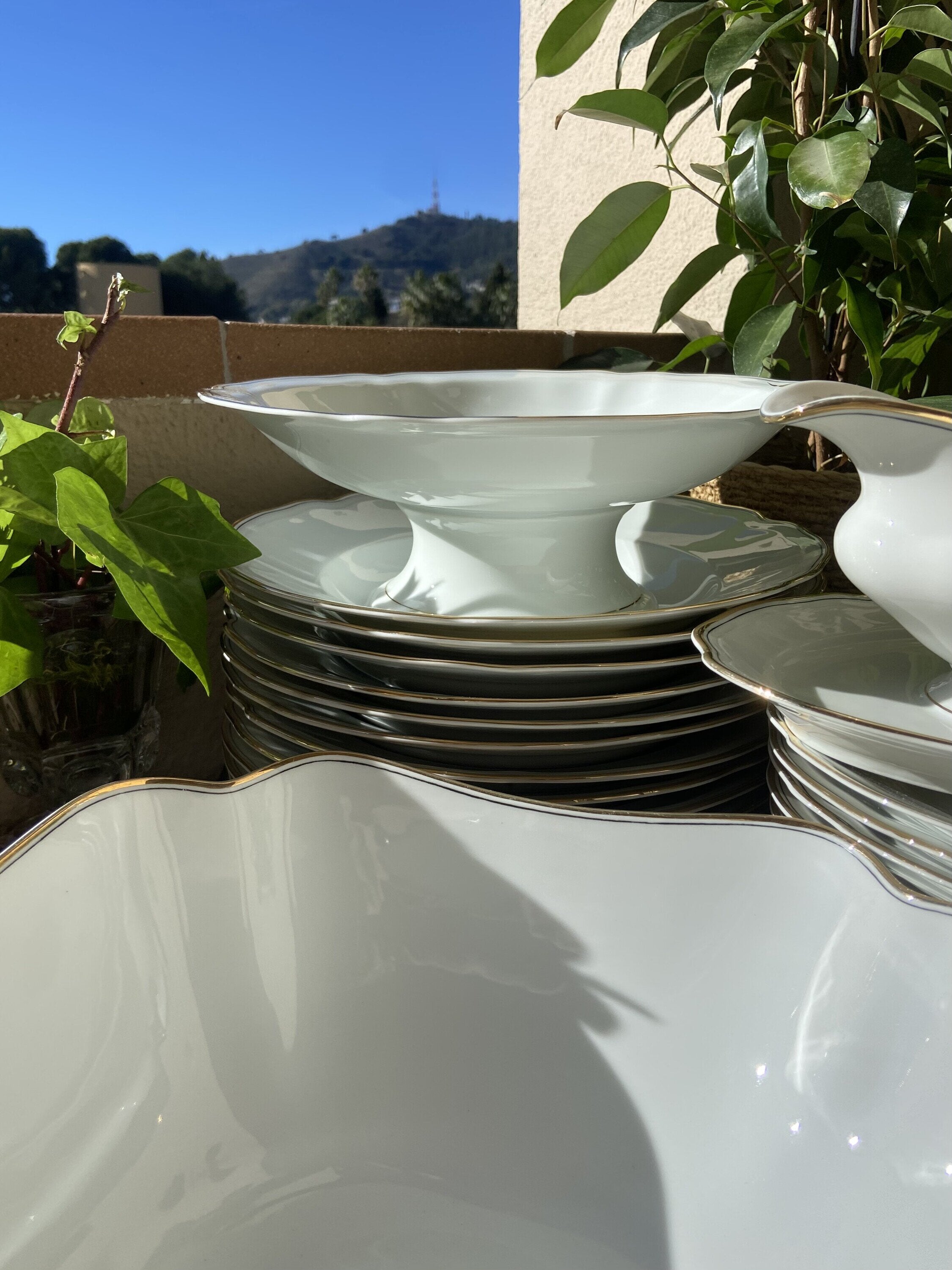 Vajilla en porcelana alemana de Bavaria "Schönwald".